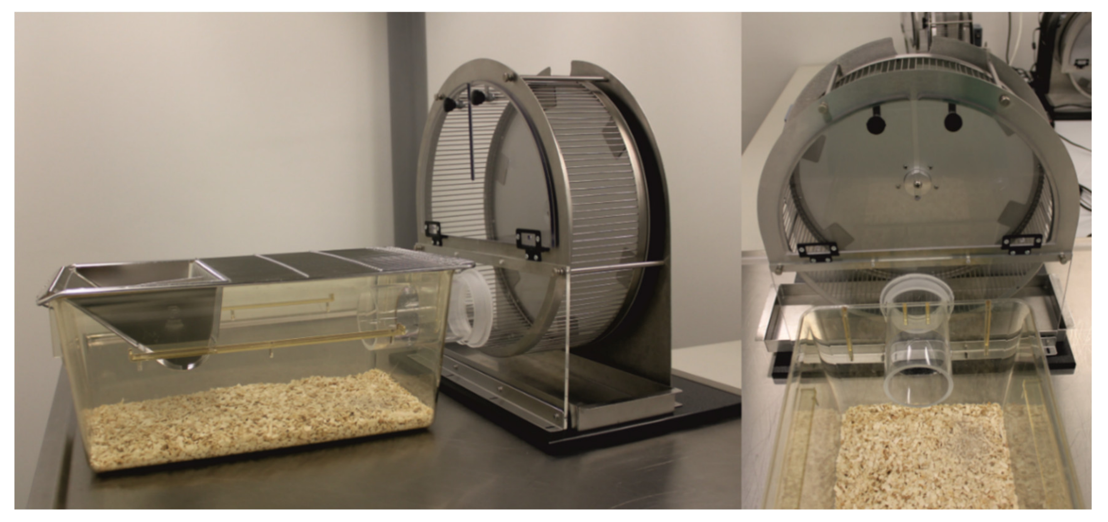 Animals 11 00710 g002