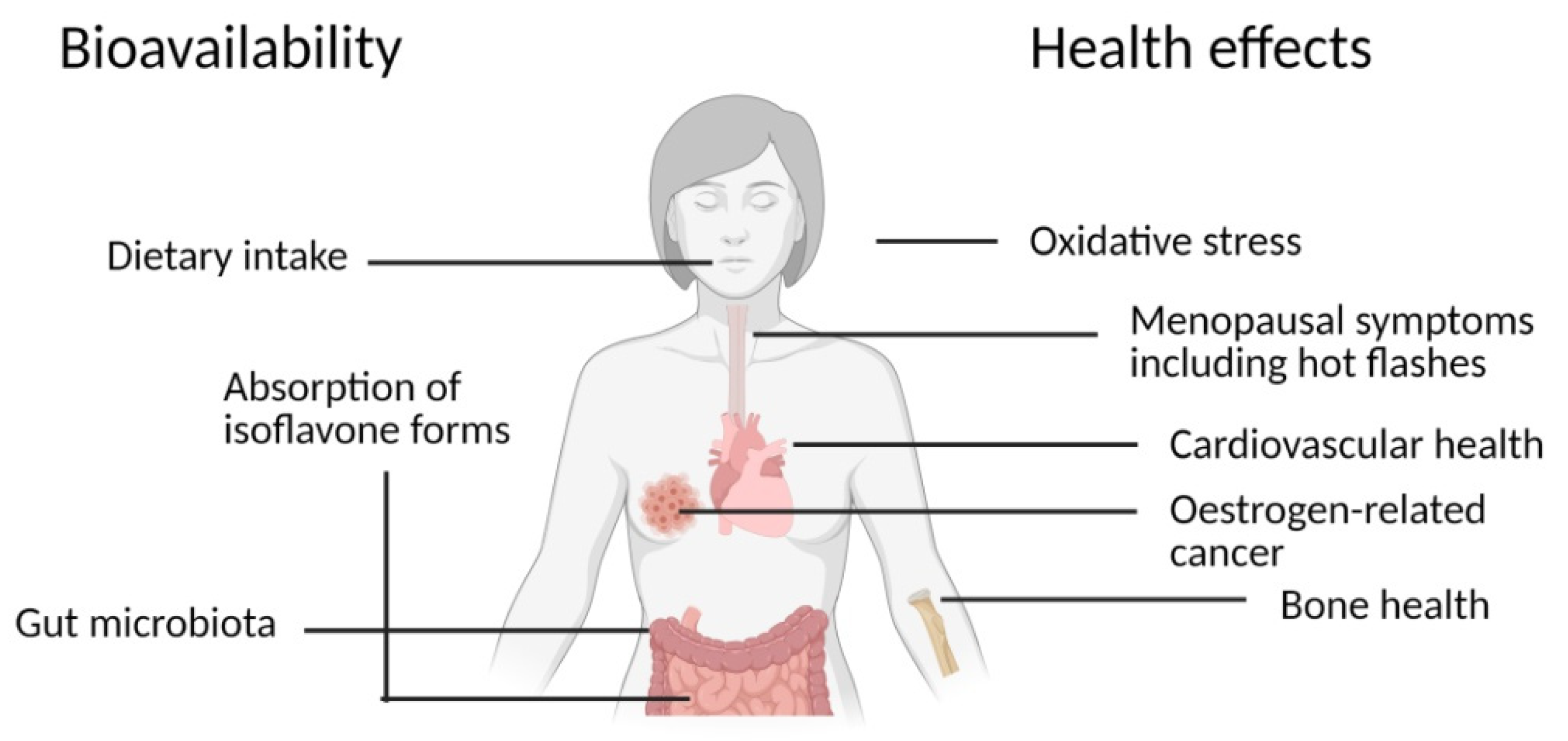 Animals 11 00735 g002