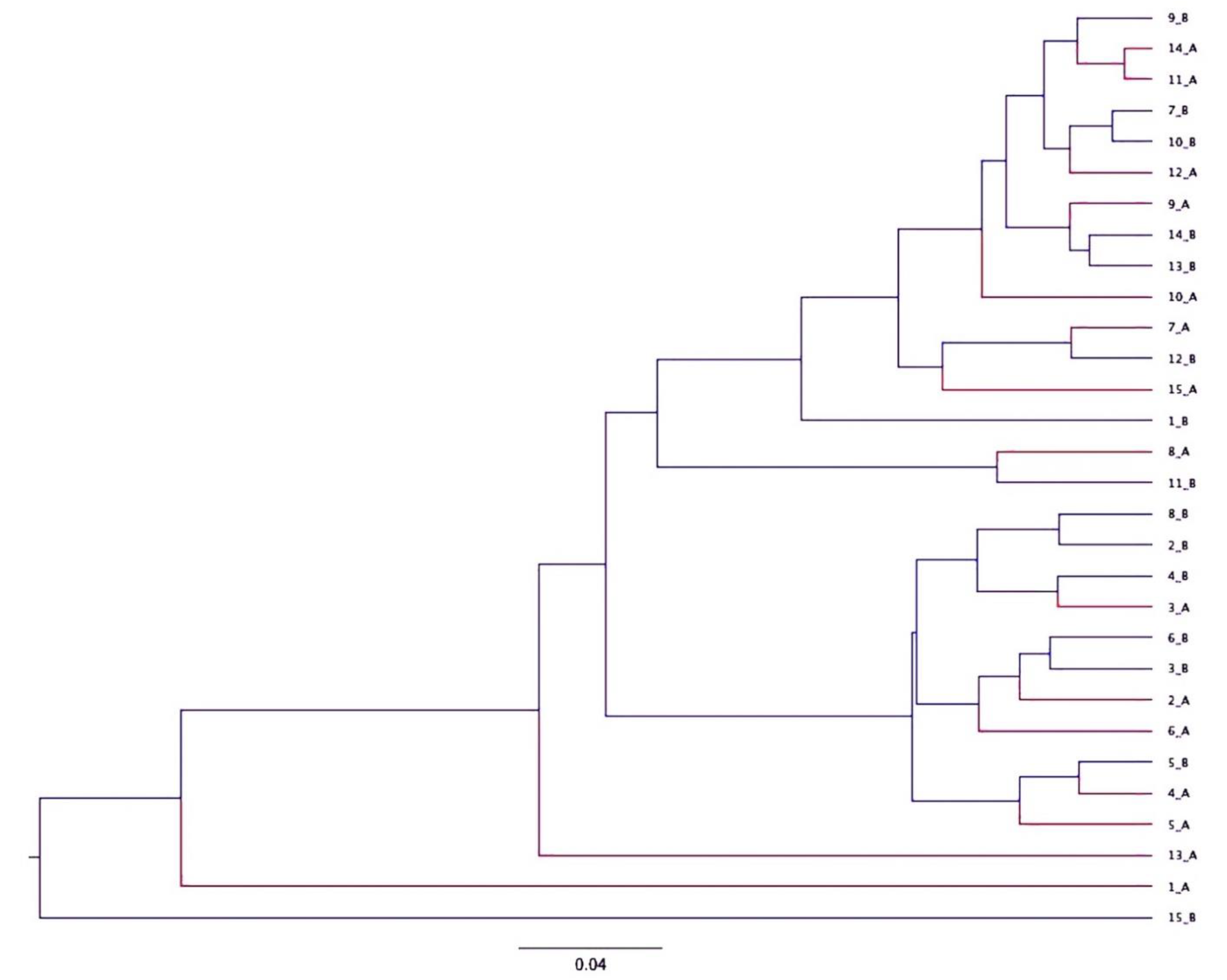 Animals 11 00745 g005 Animals 11 00745 g005