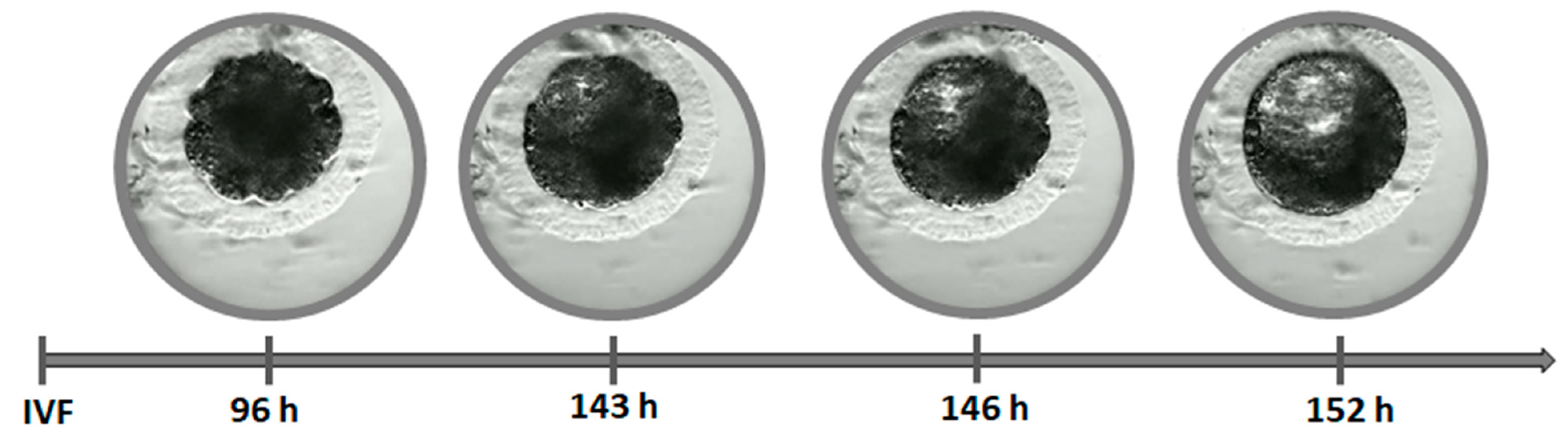 Animals 11 00748 g004 Animals 11 00748 g004