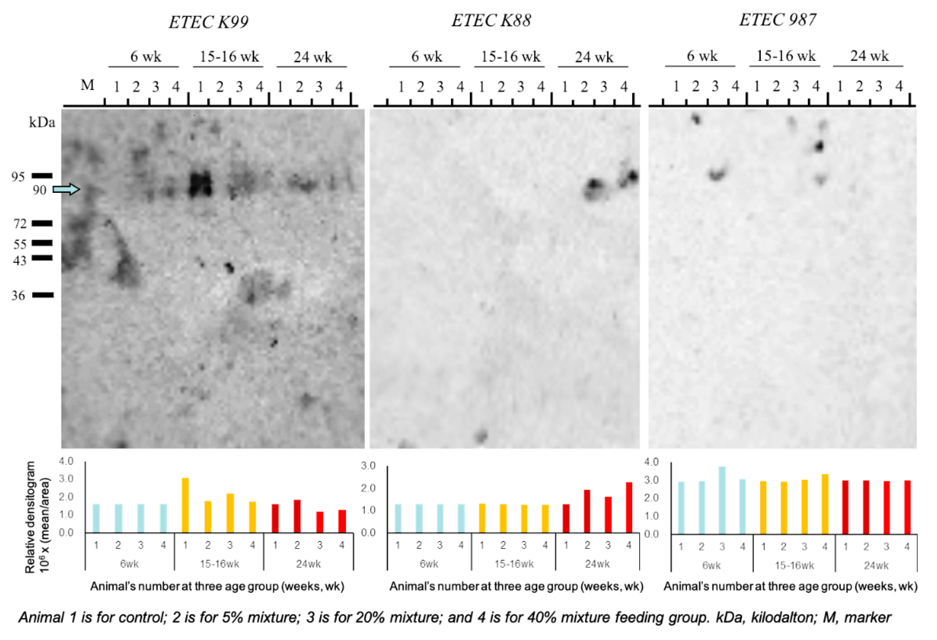 Animals 11 00752 g004