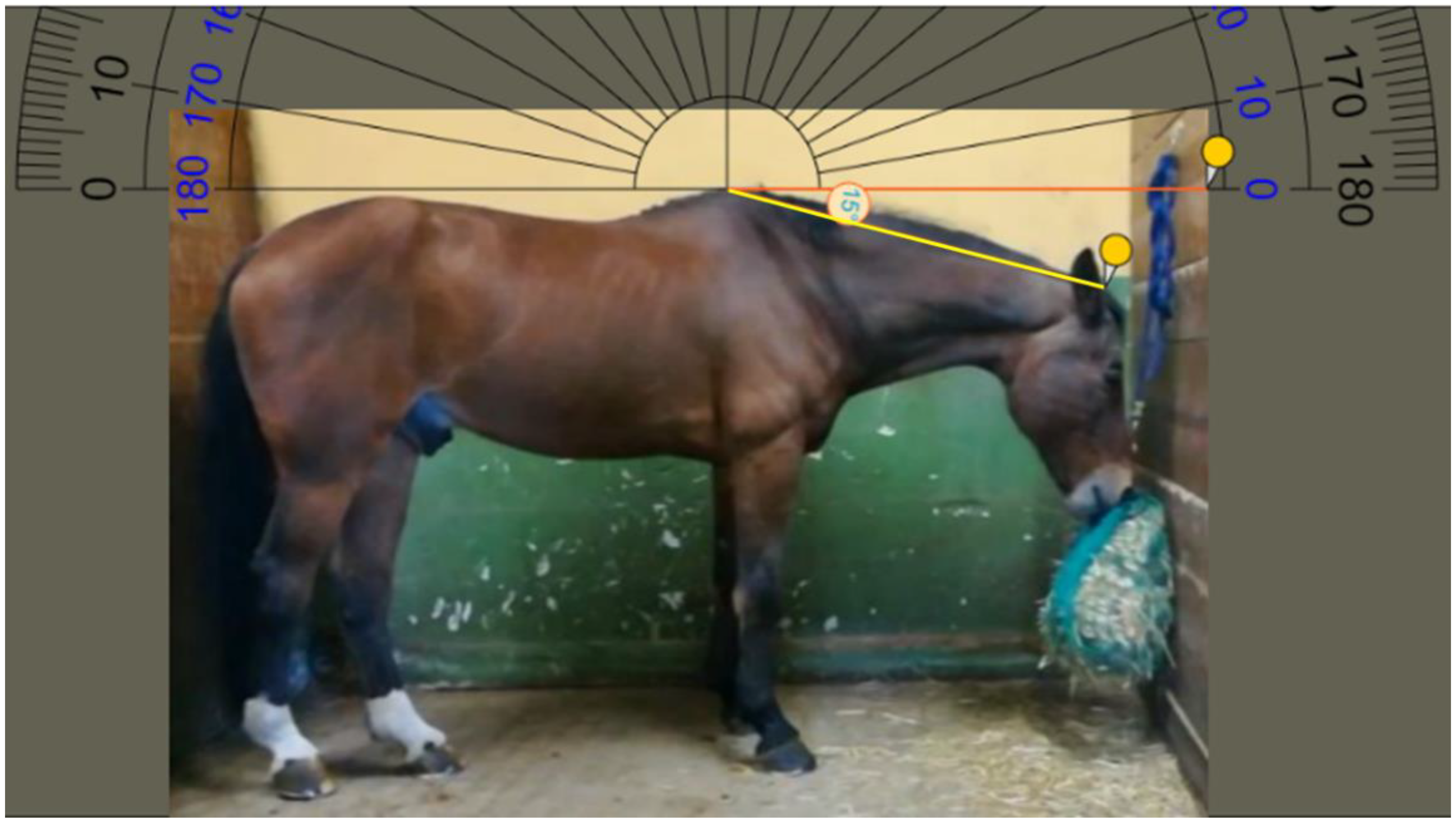 Animals 11 00763 g004