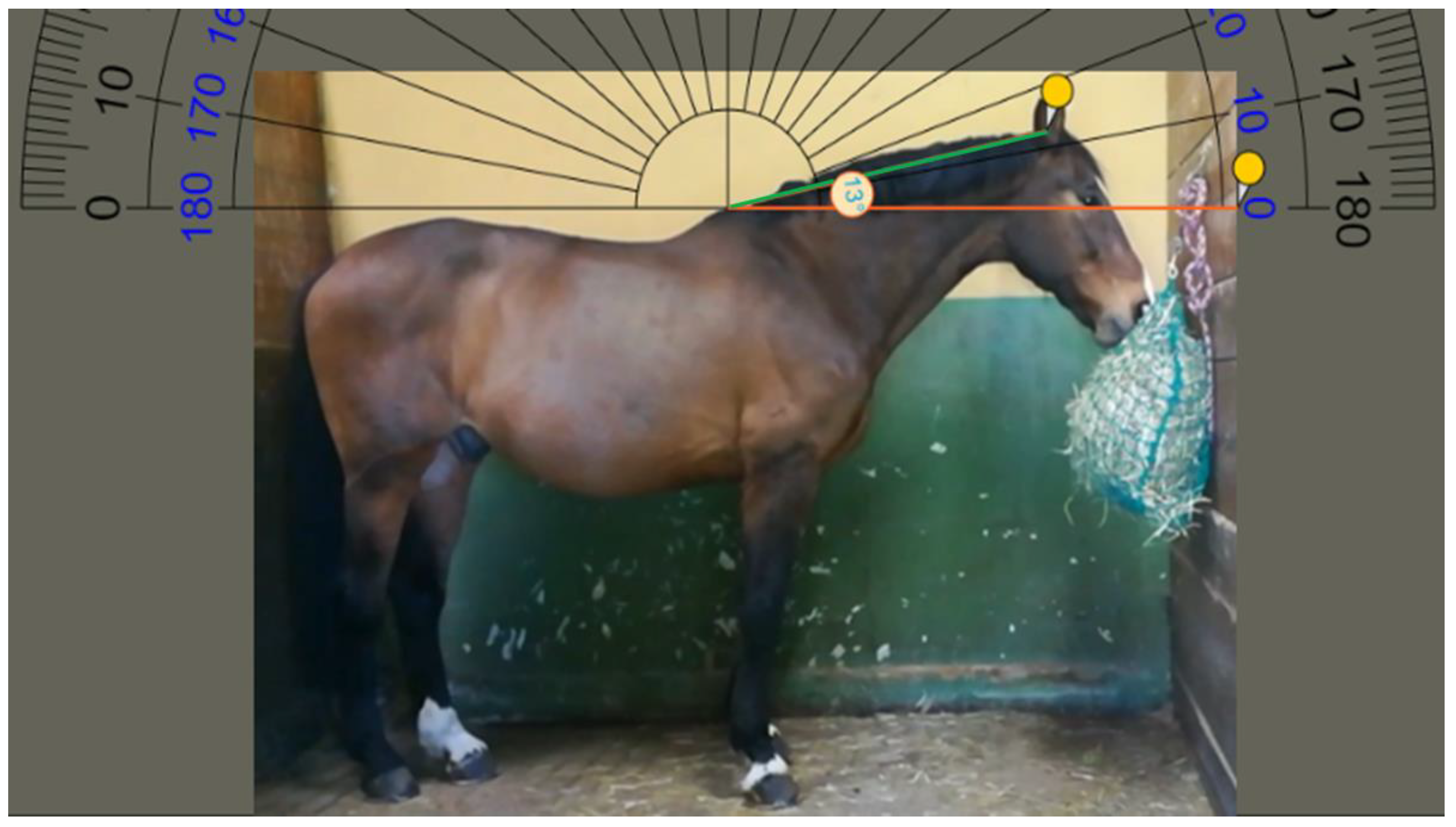 Animals 11 00763 g005