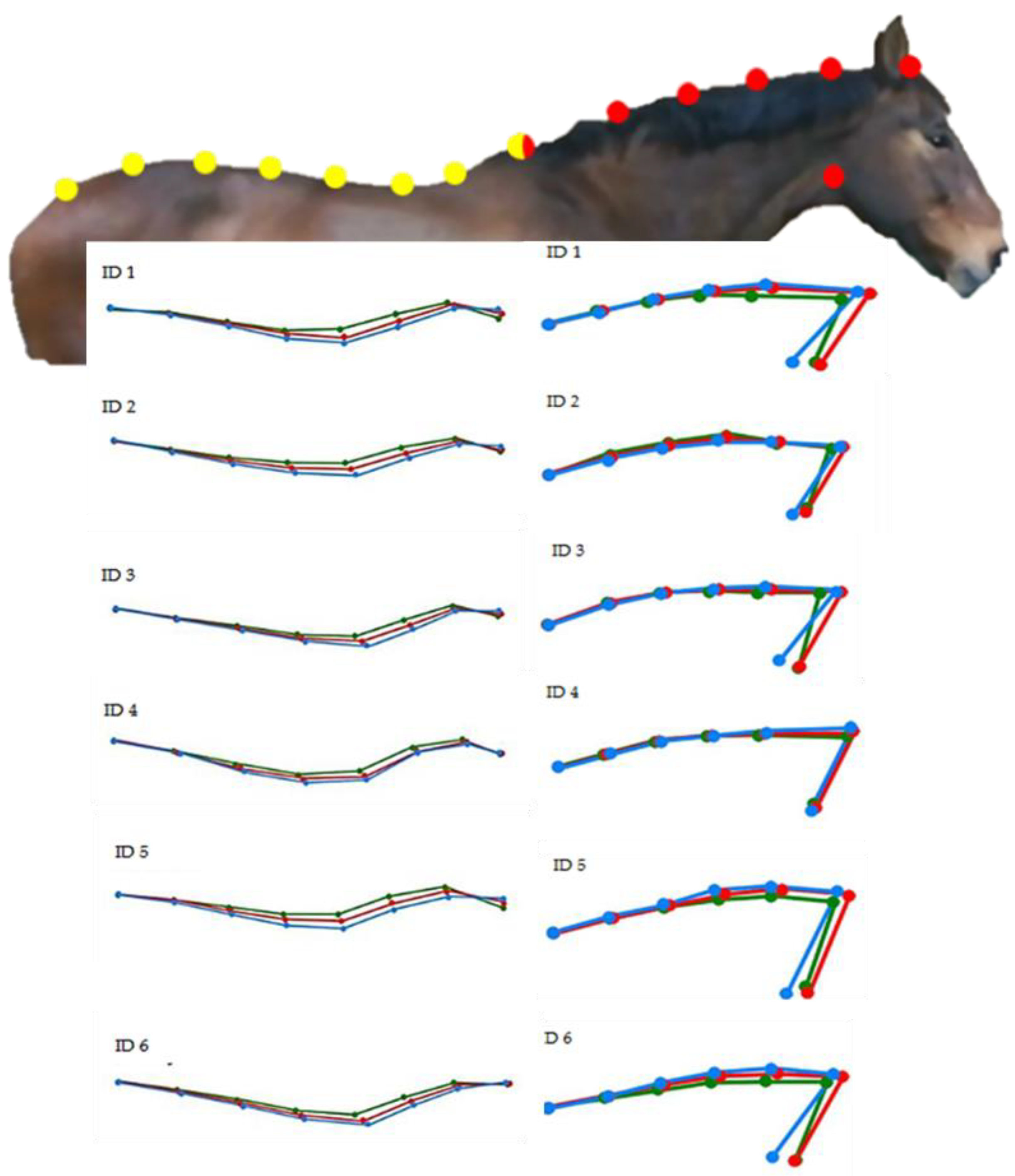 Animals 11 00763 g009