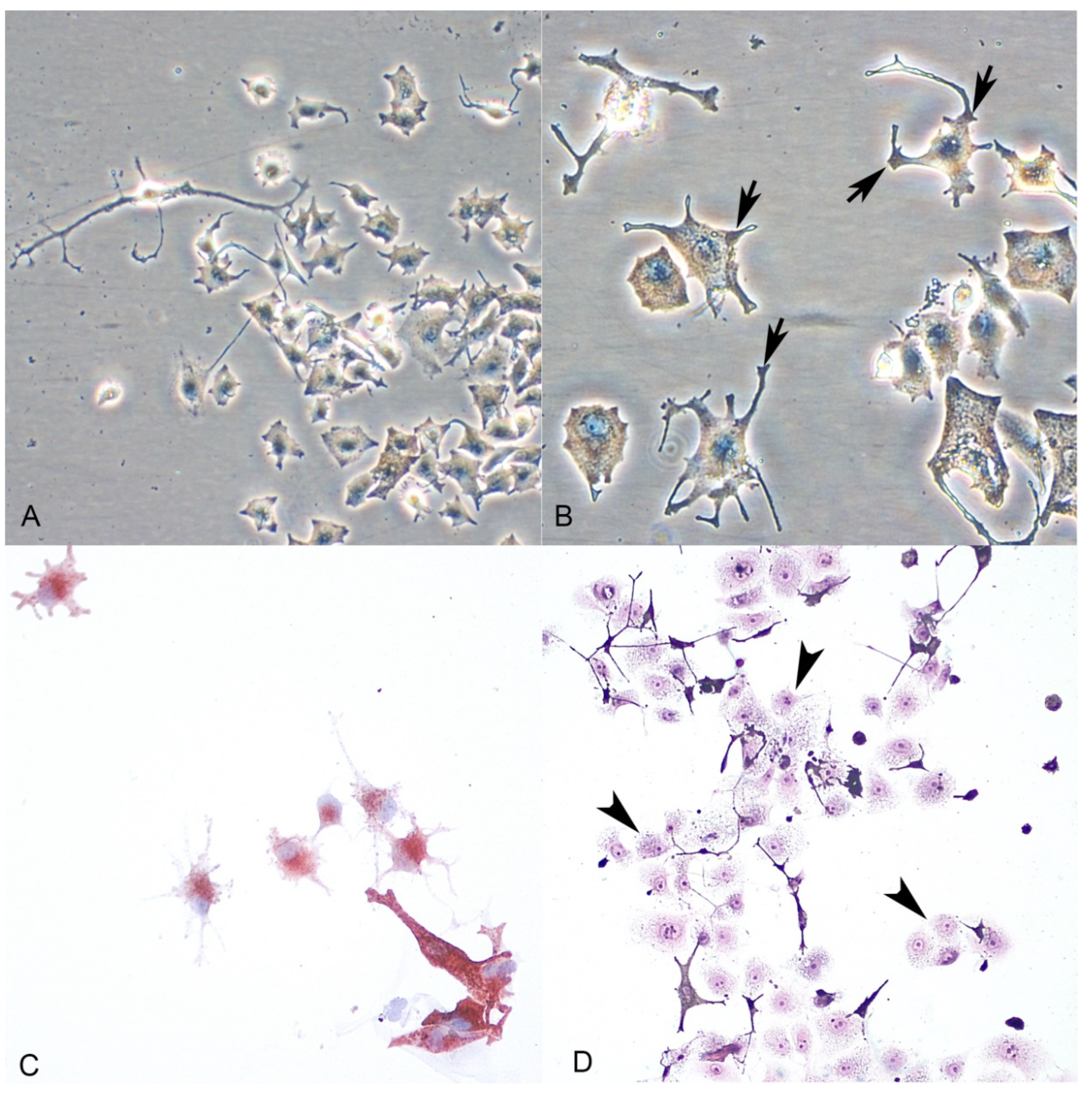 Animals 11 00768 g003