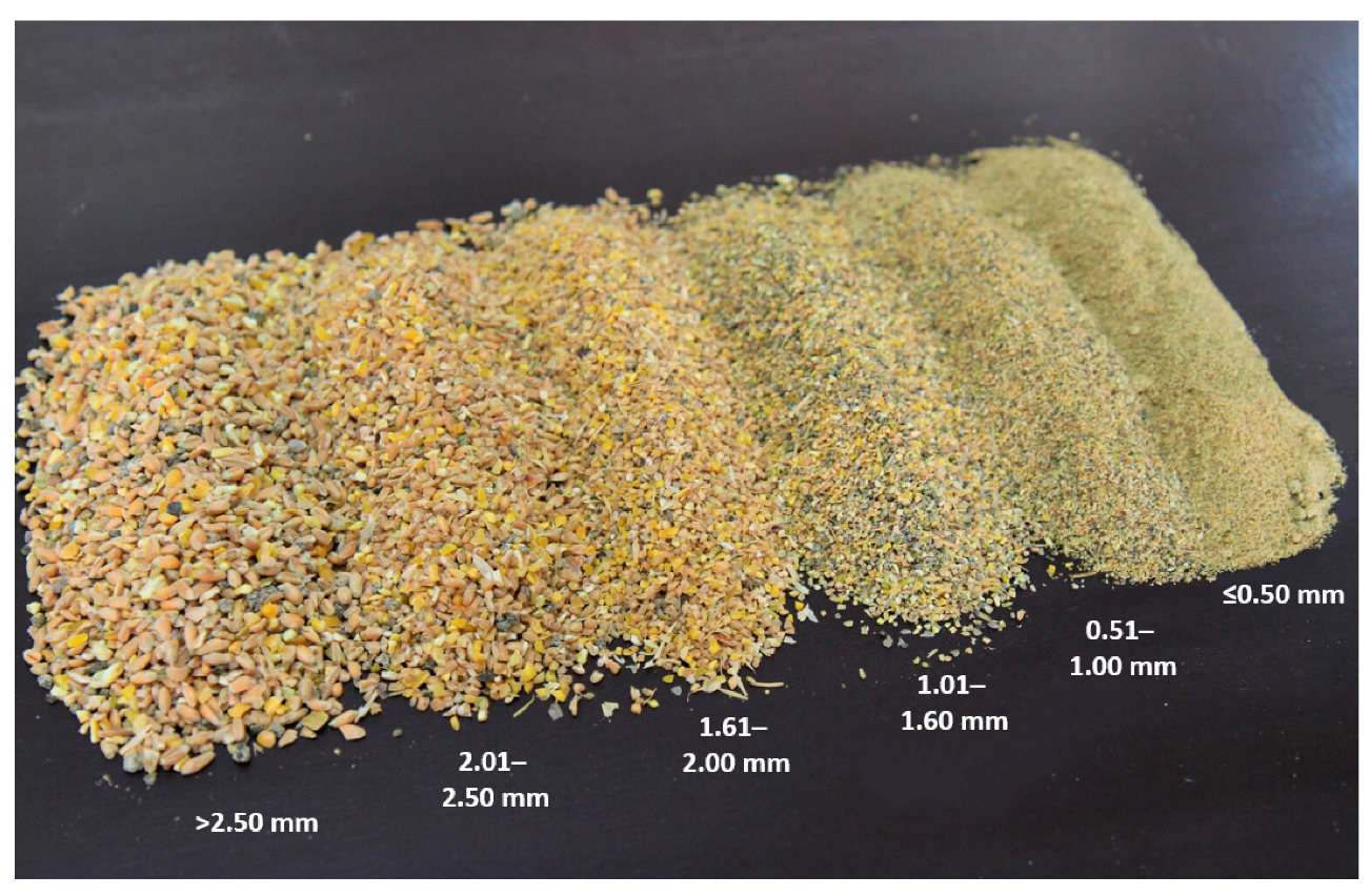 Animals 11 00773 g001