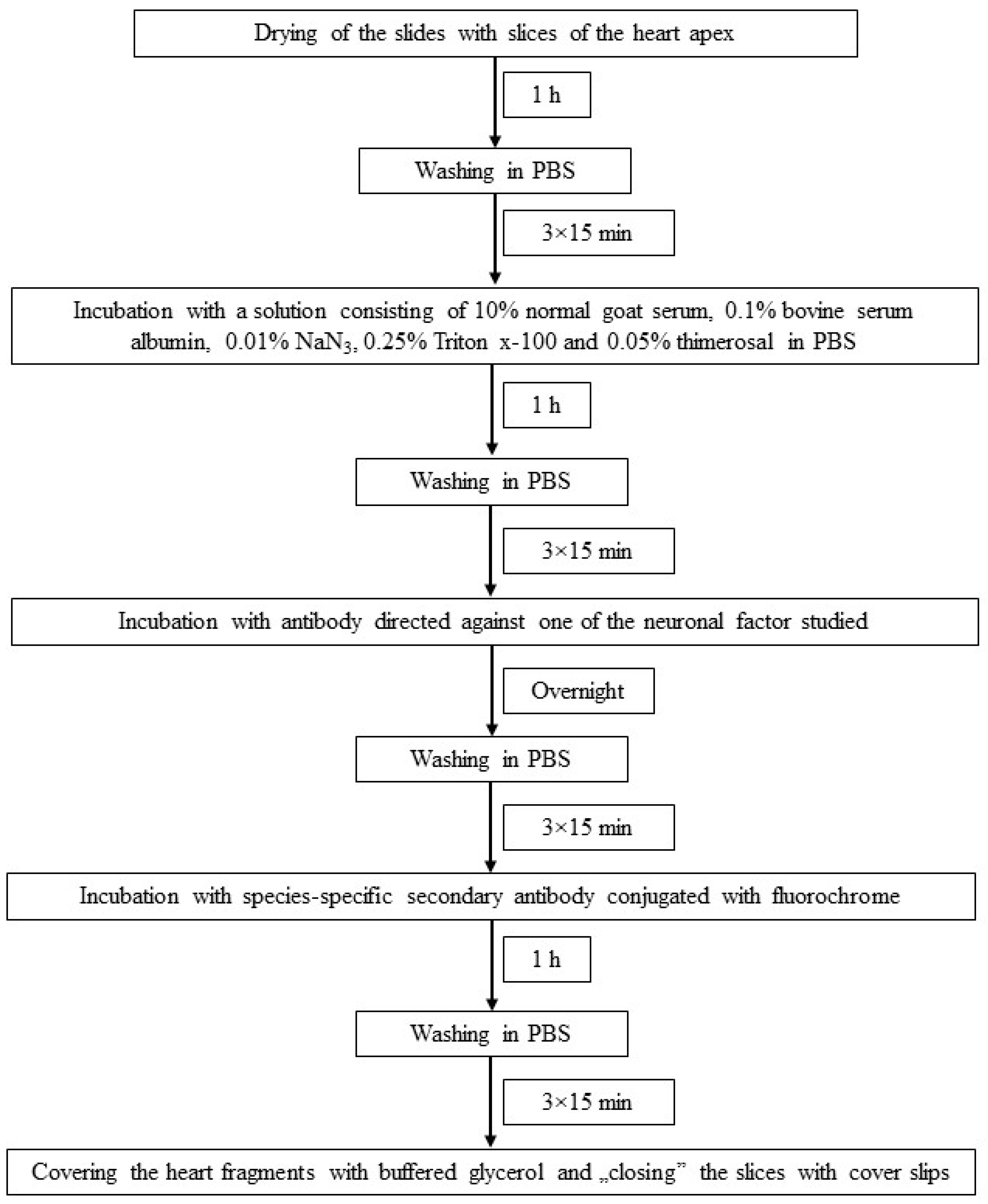 Animals 11 00780 g002