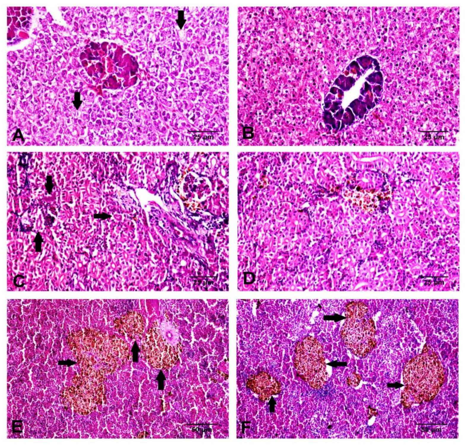 Animals 11 00815 g006