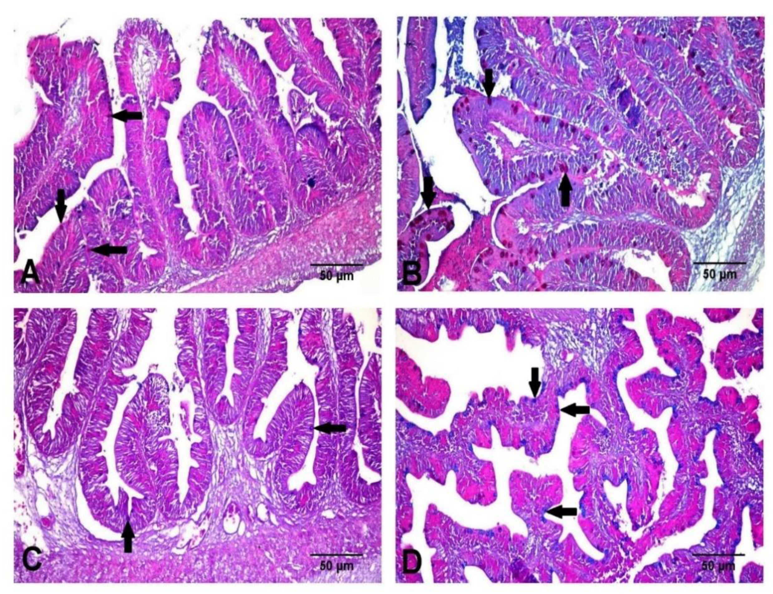 Animals 11 00815 g008