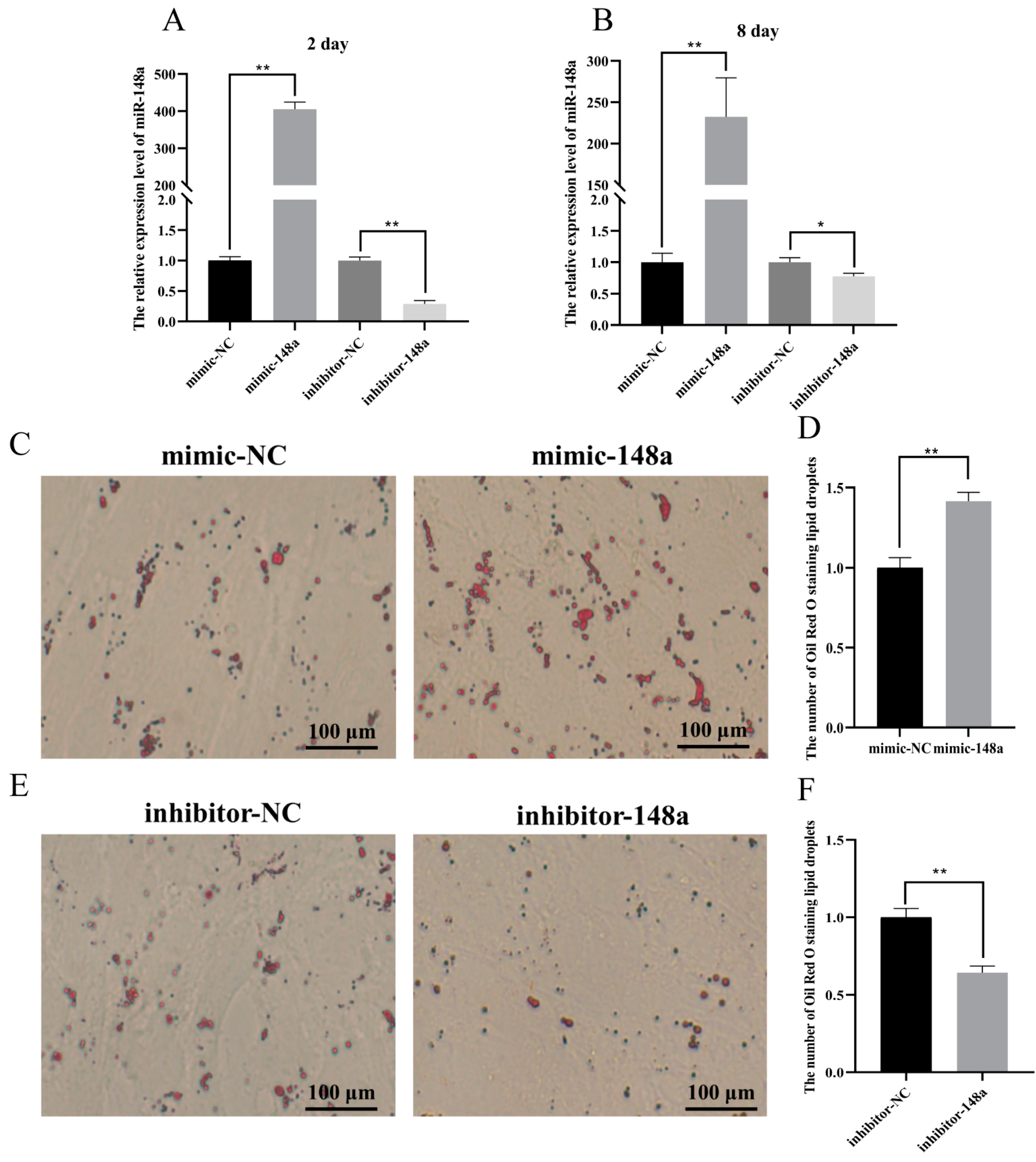 Animals 11 00820 g002
