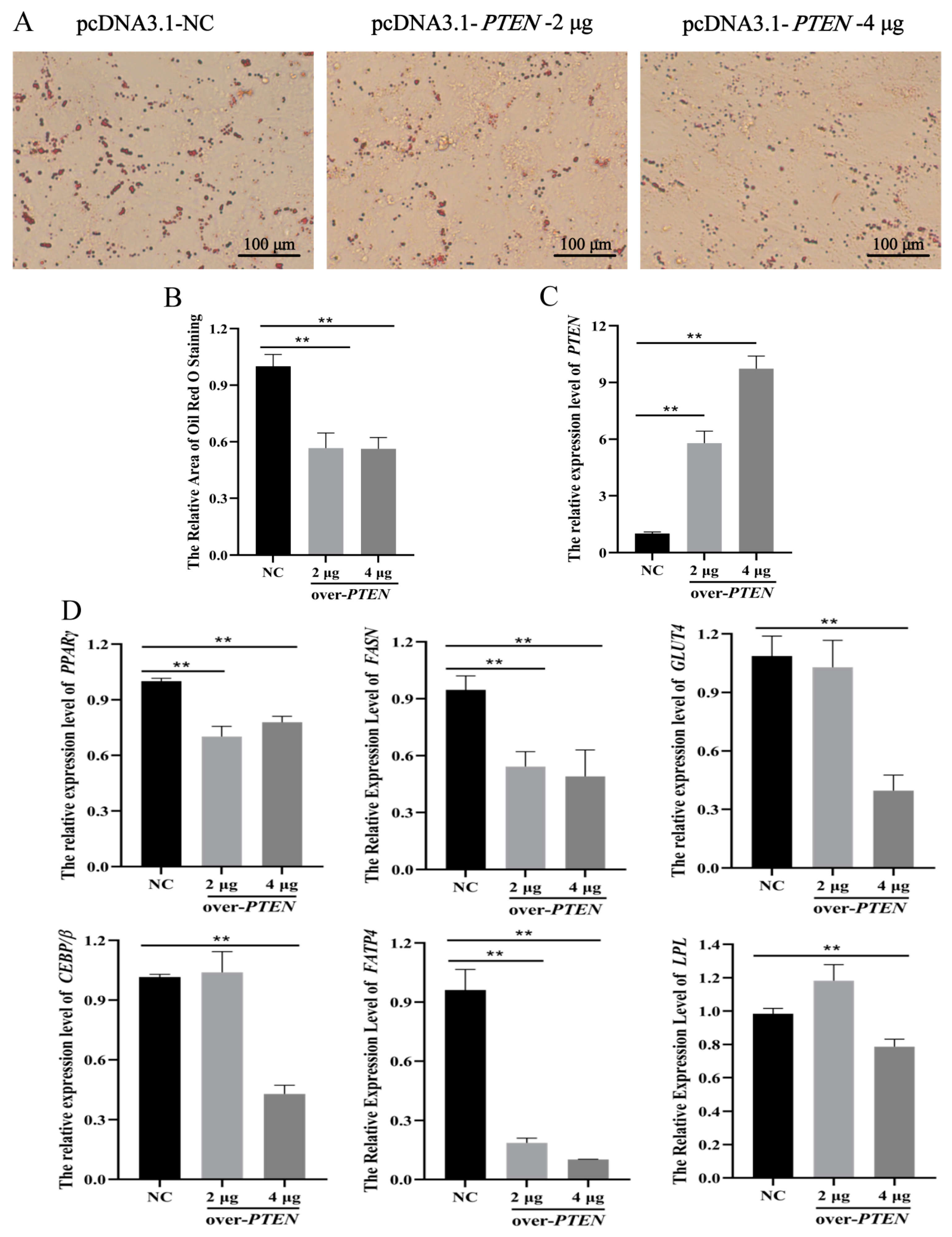 Animals 11 00820 g008