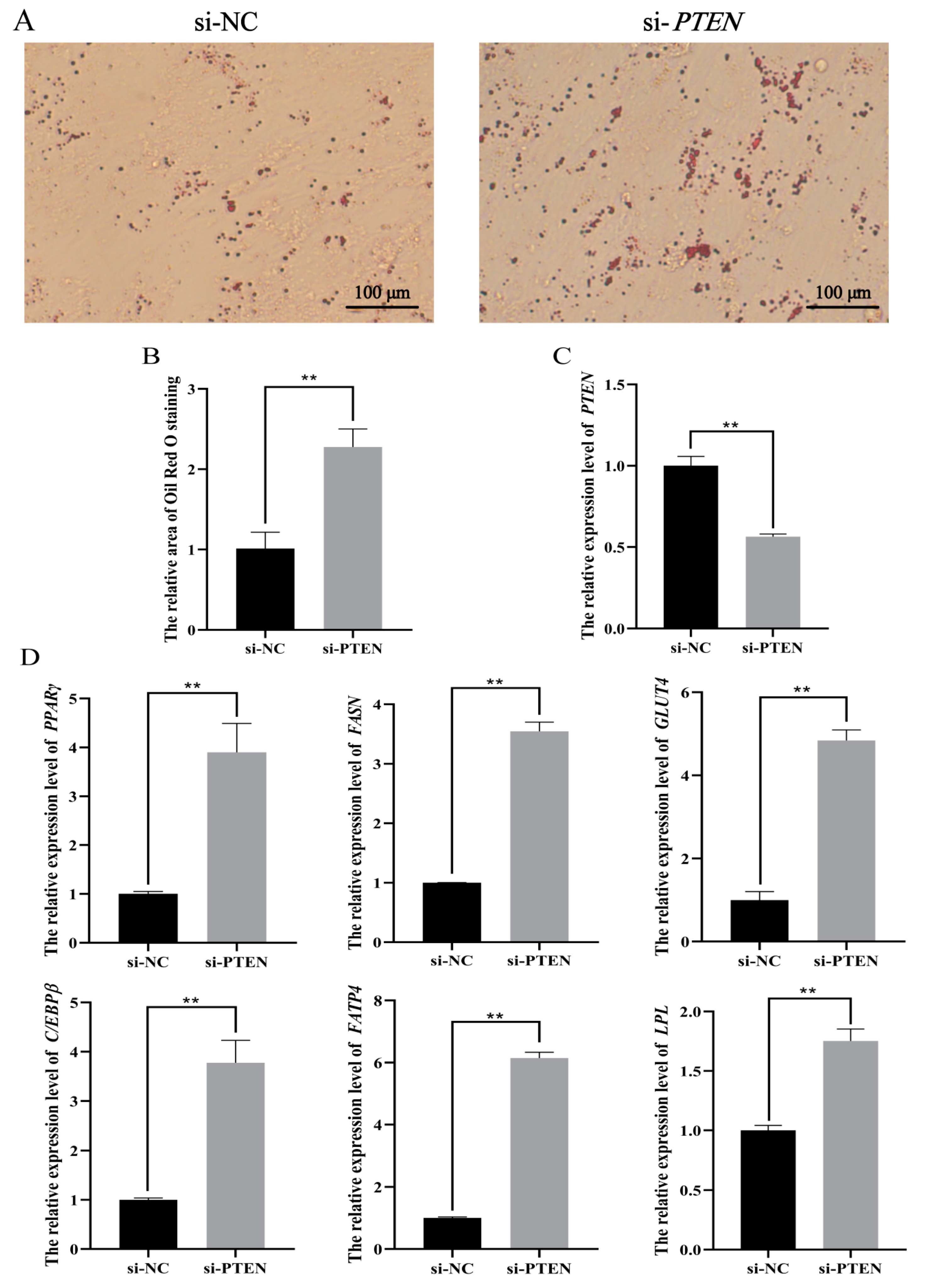 Animals 11 00820 g009