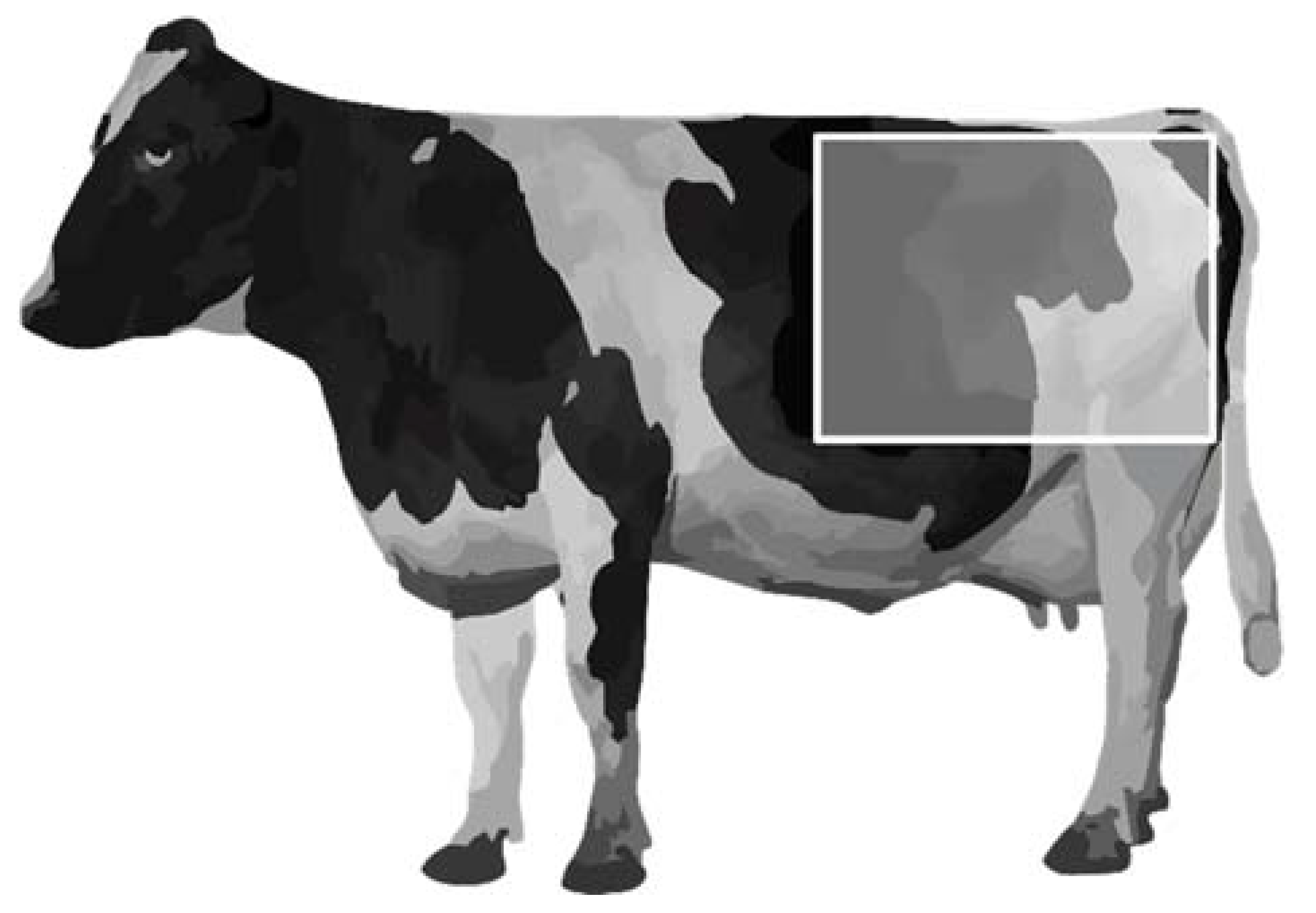 Animals 11 00821 g001 Animals 11 00821 g001