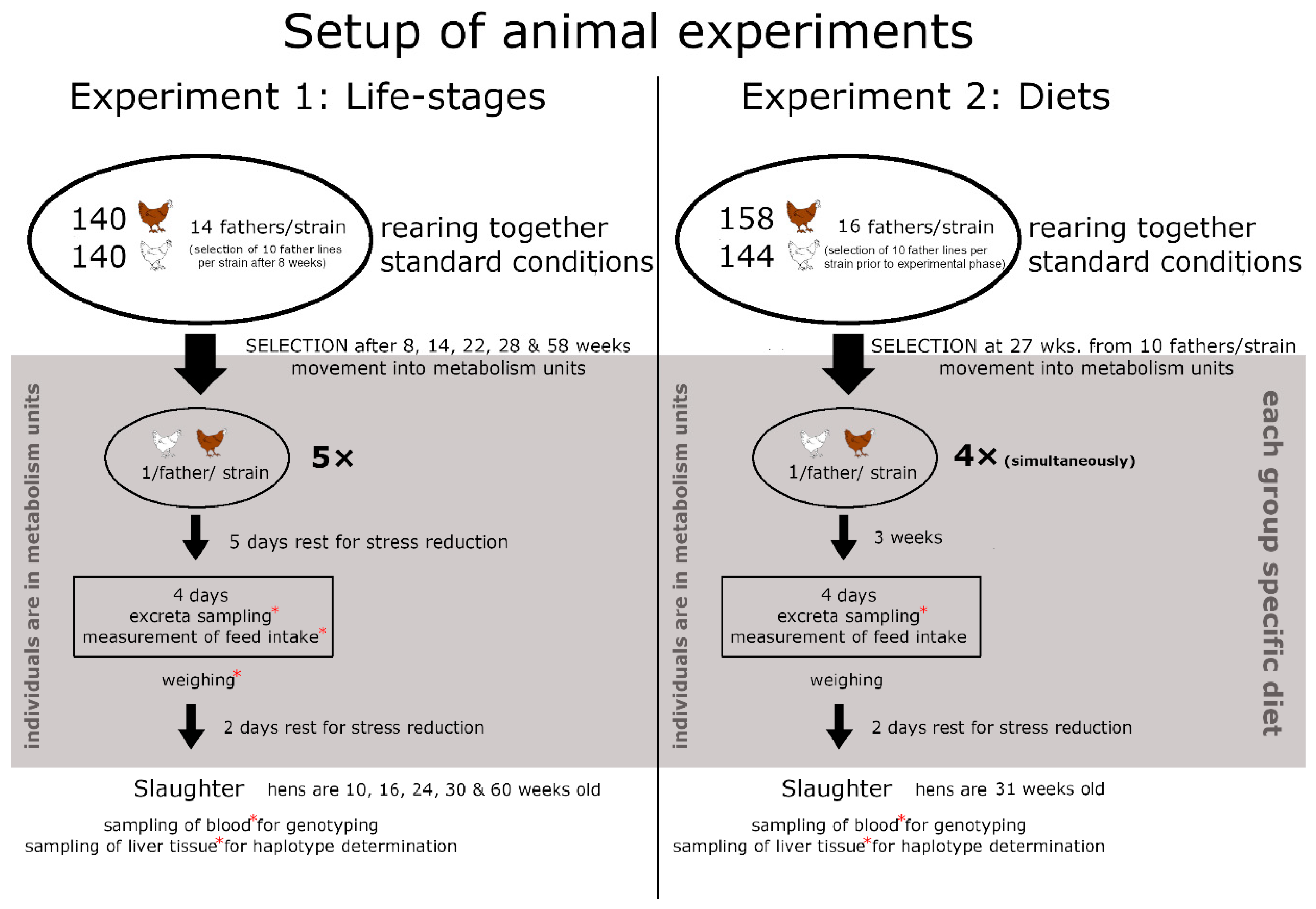 Animals 11 00825 g001