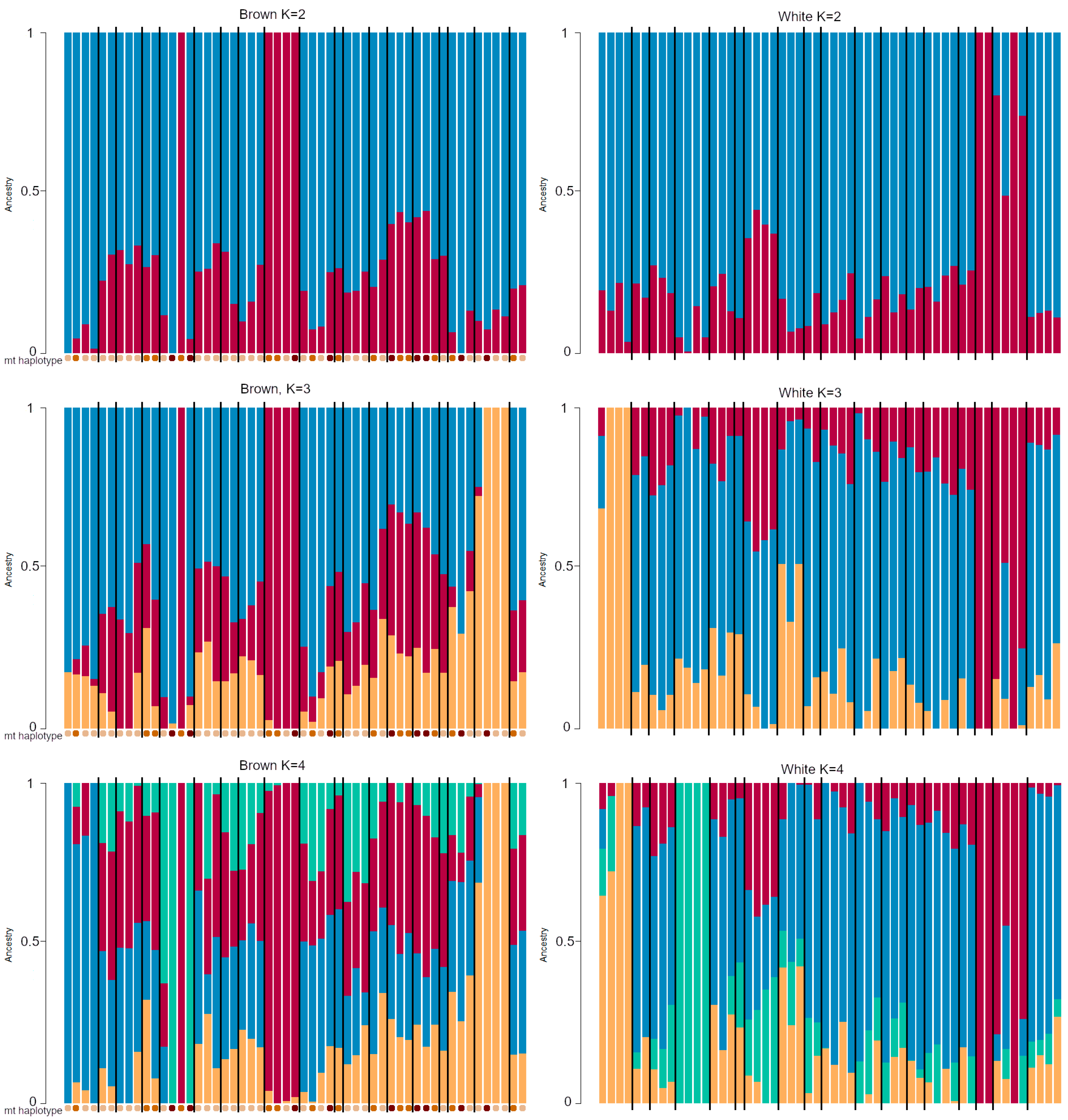 Animals 11 00825 g003