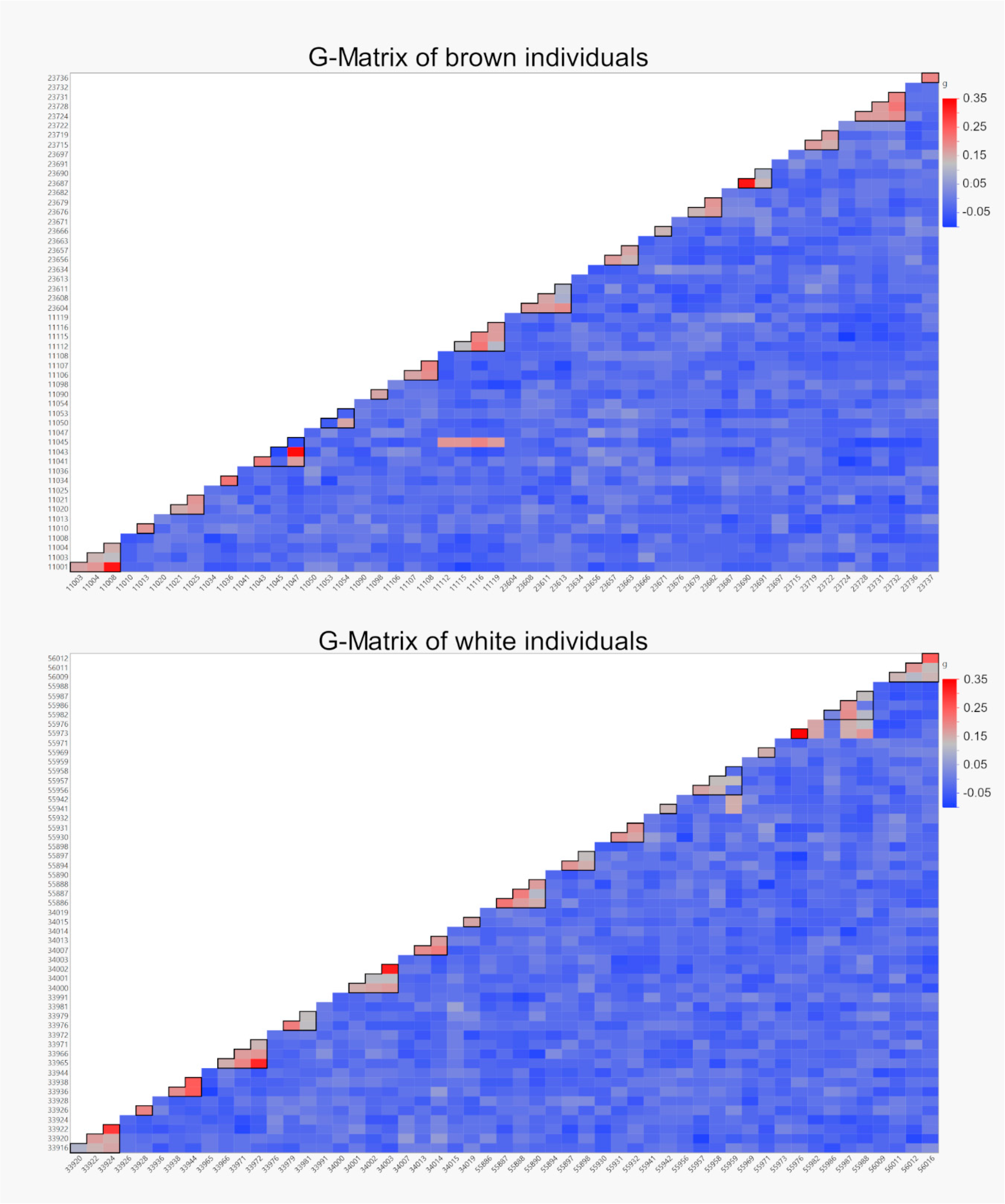 Animals 11 00825 g004