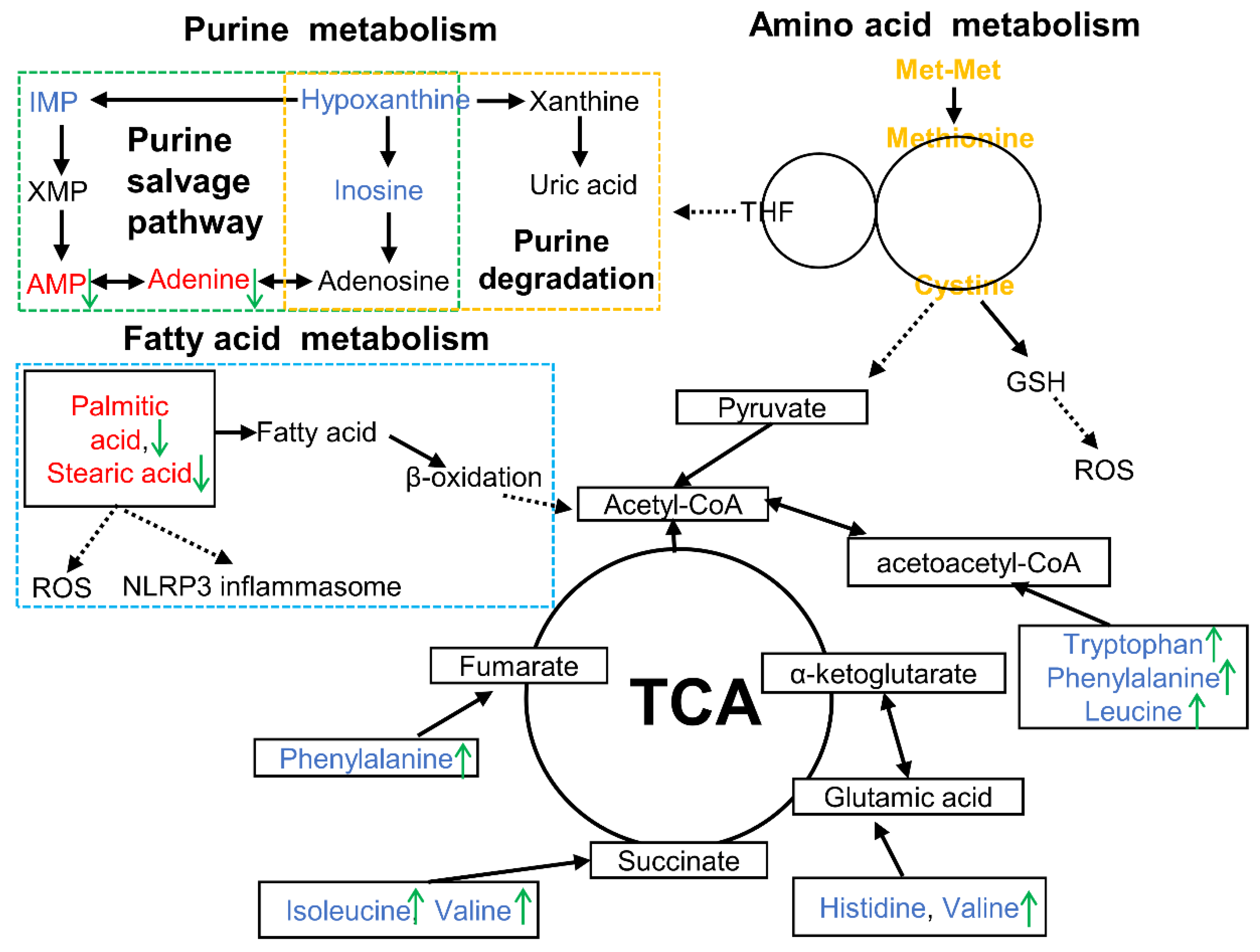 Animals 11 00833 g006