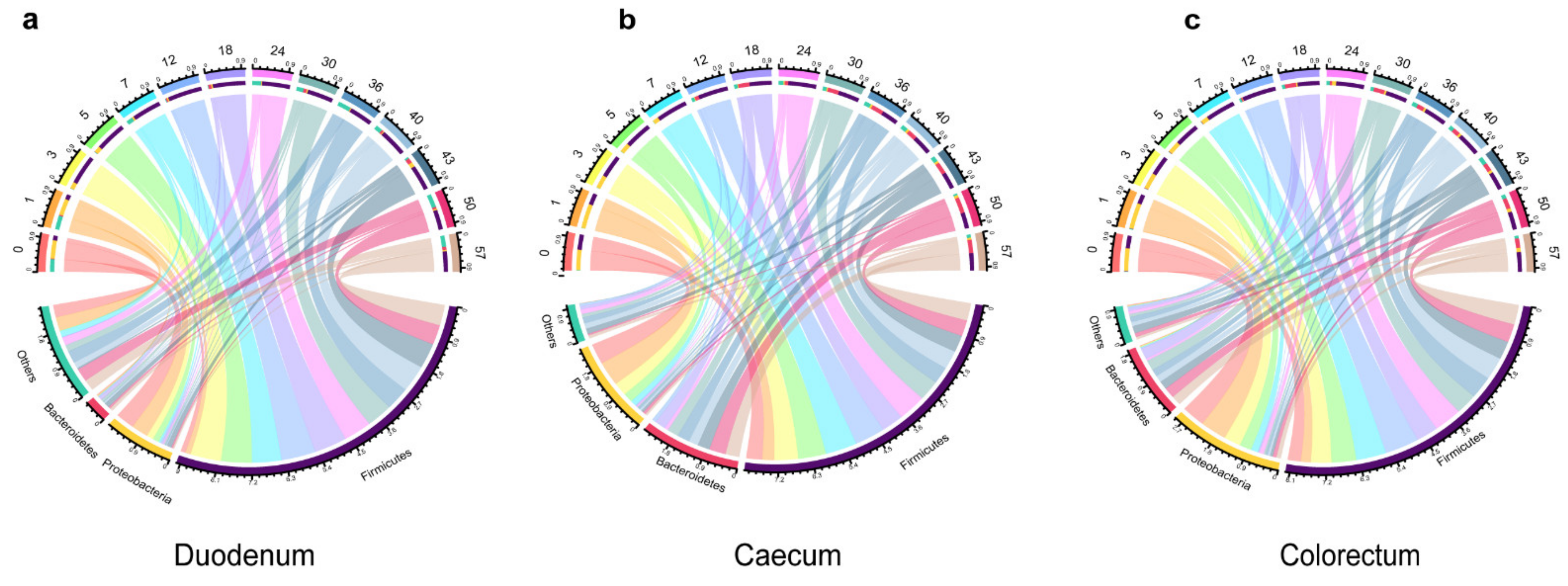 Animals 11 00840 g003