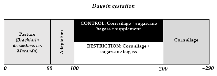 Animals 11 00860 sch001
