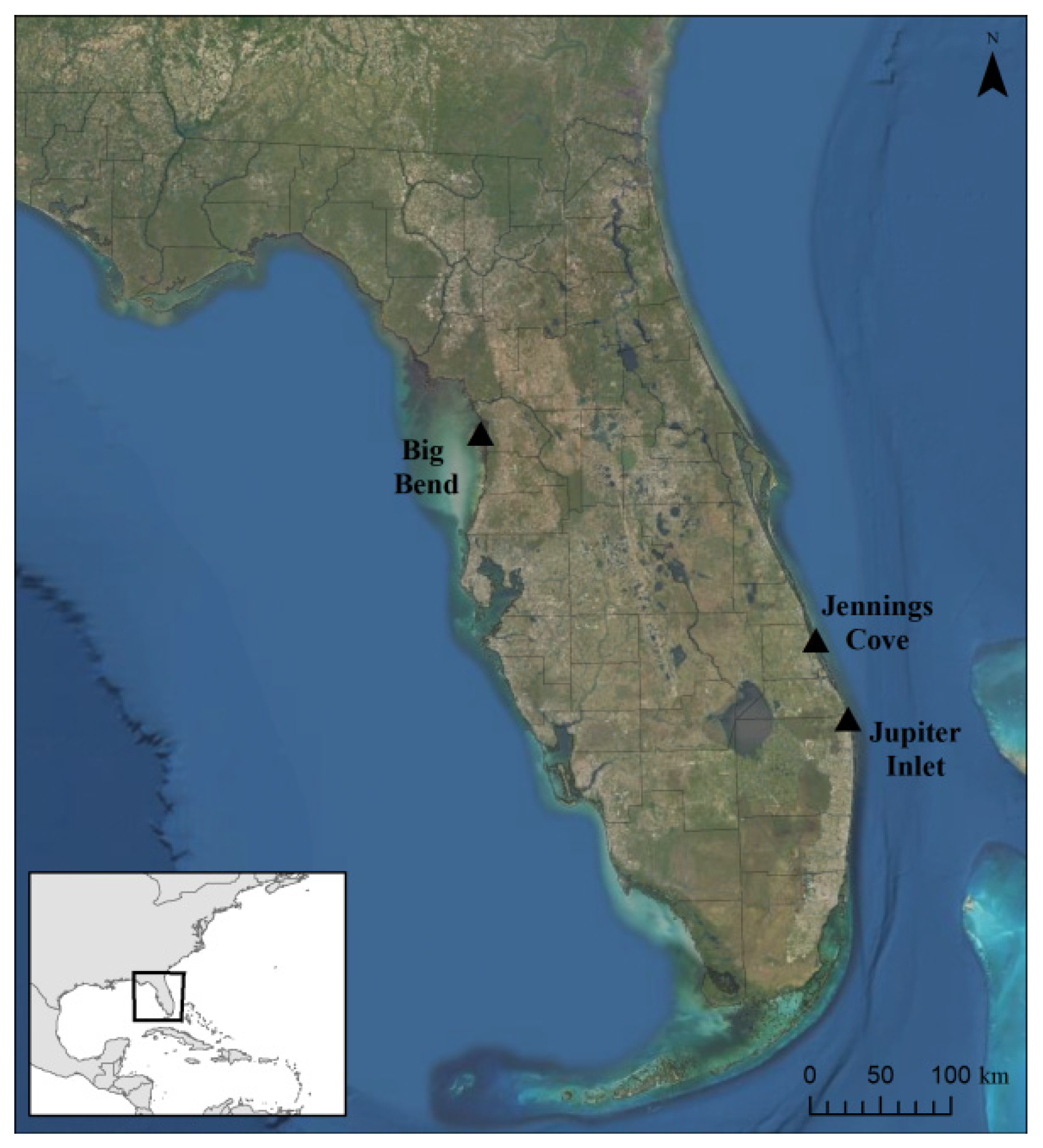 Animals 11 00861 g001