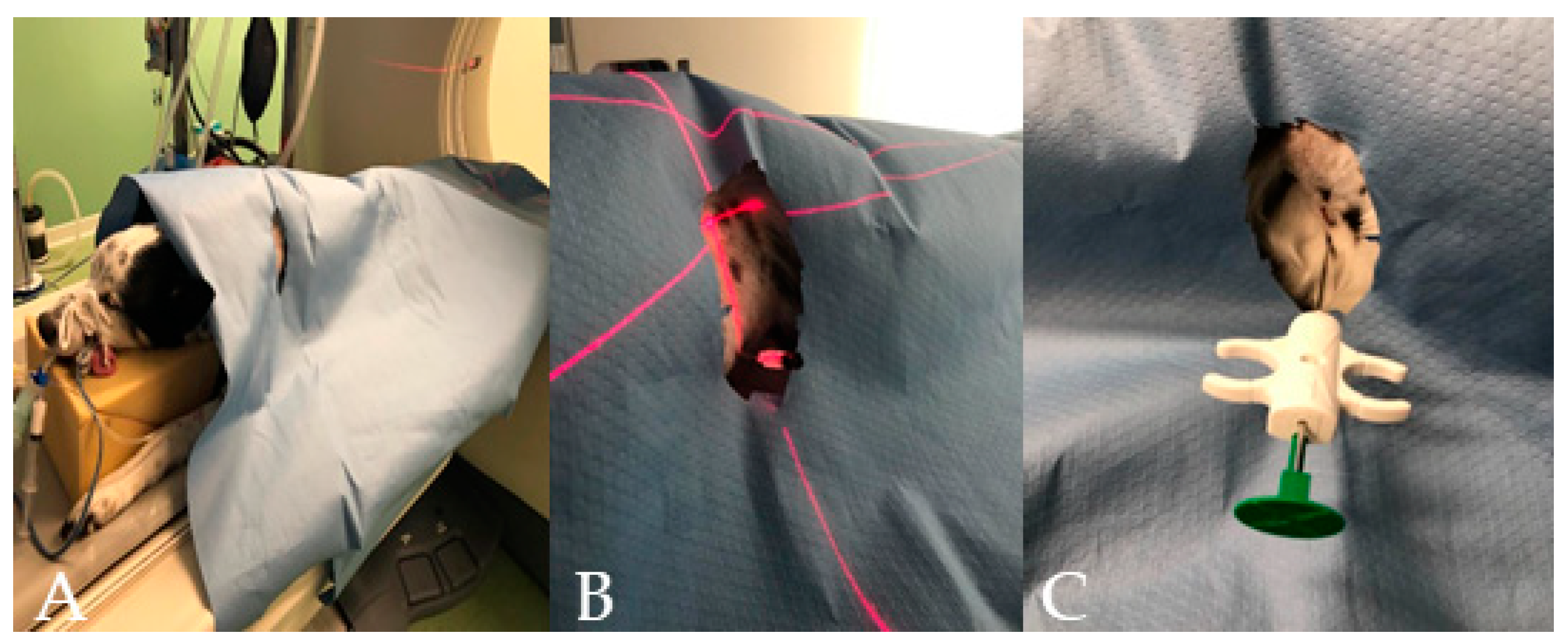 Animals 11 00883 g001 Animals 11 00883 g001