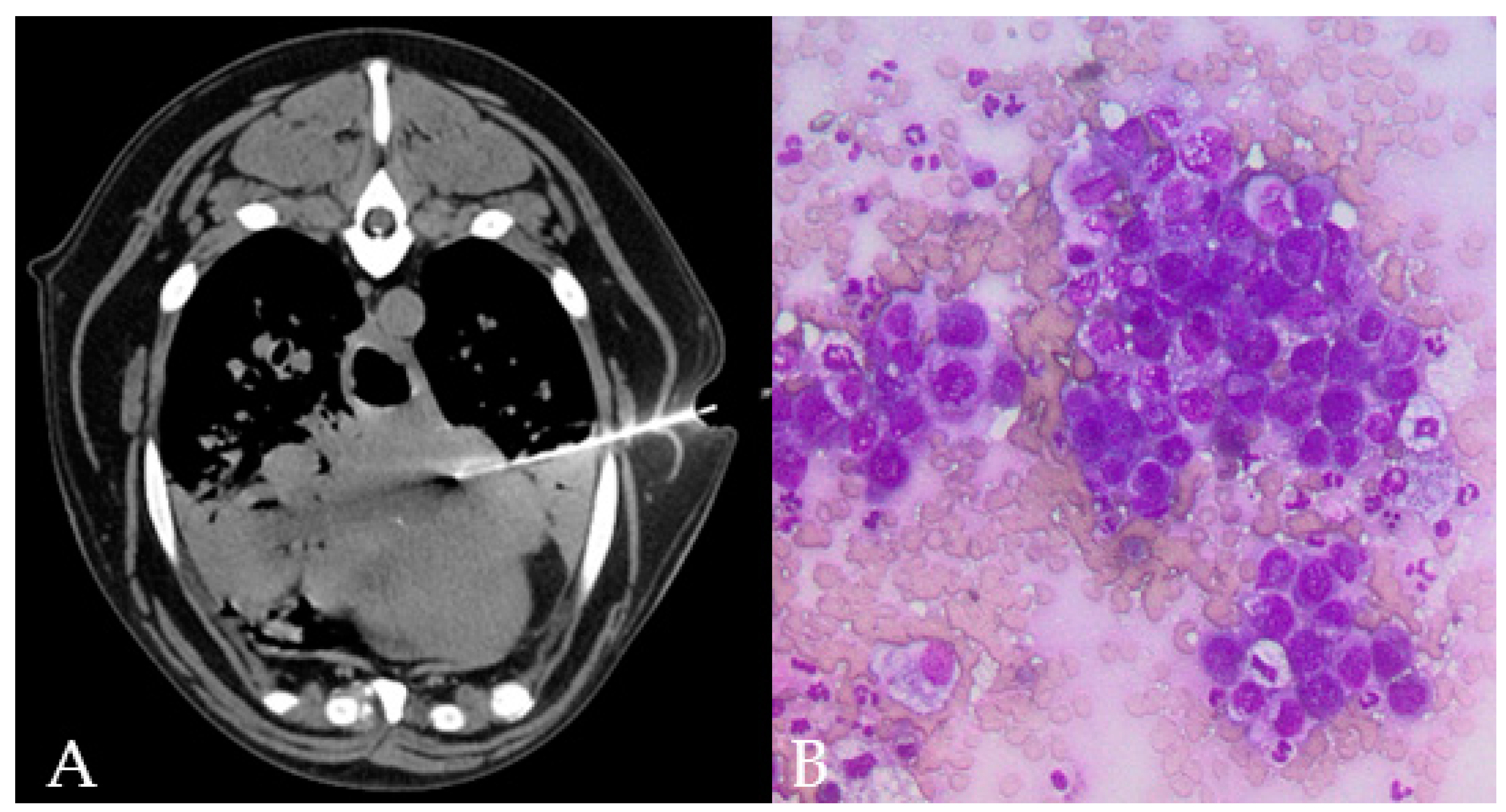 Animals 11 00883 g003 Animals 11 00883 g003