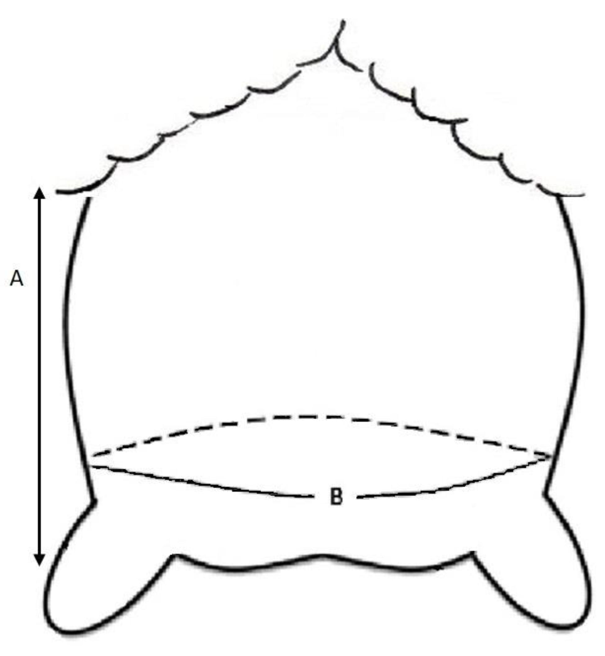 Animals 11 00884 g002 Animals 11 00884 g002