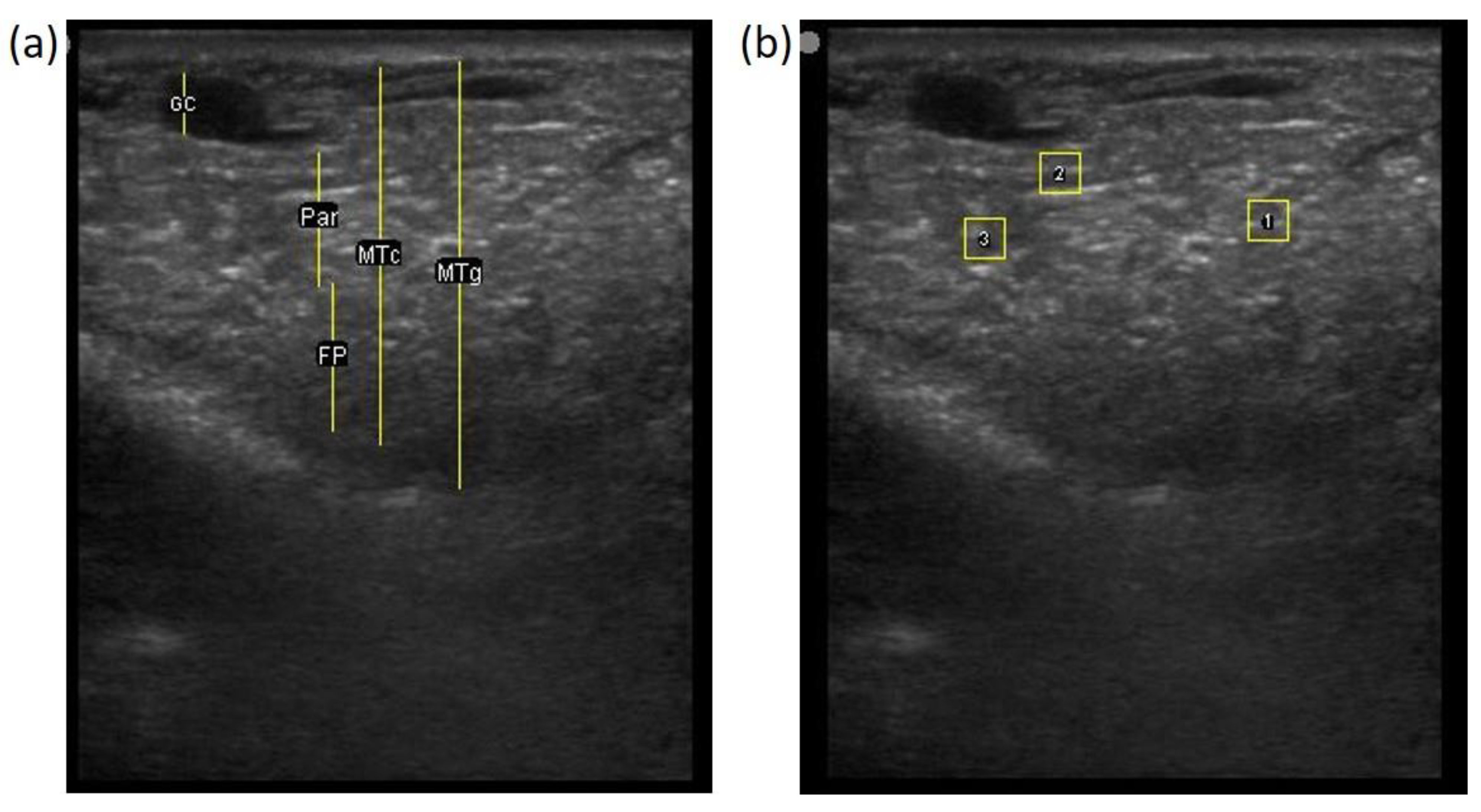 Animals 11 00884 g005 Animals 11 00884 g005