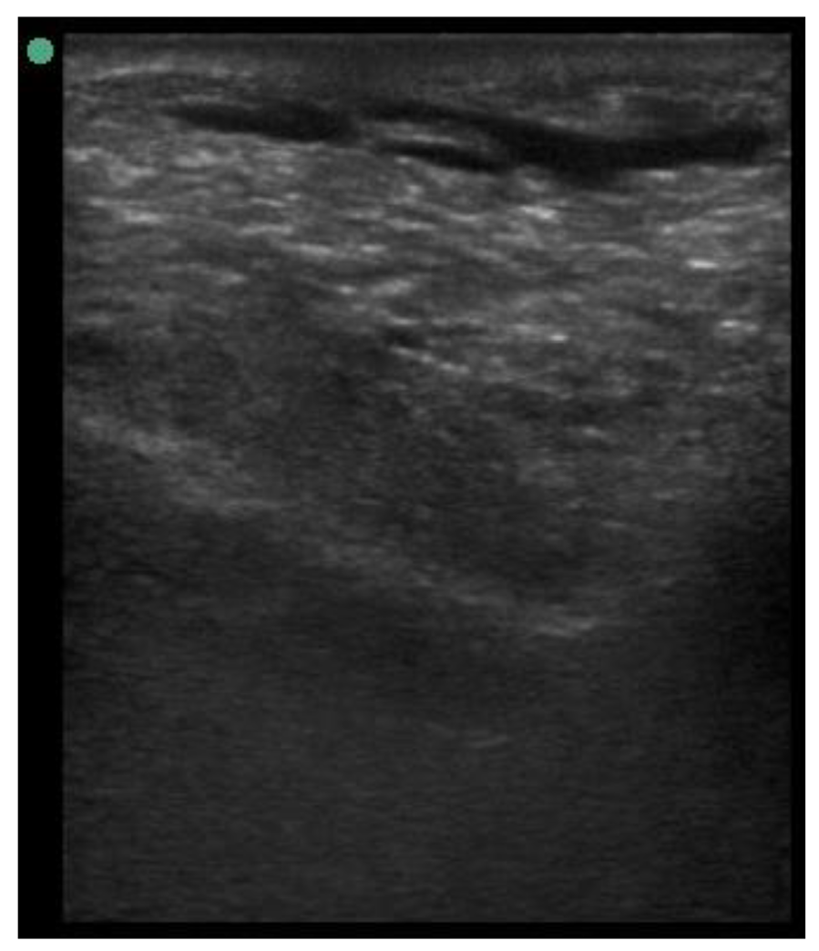 Animals 11 00884 i001