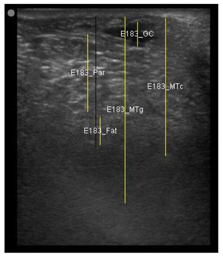 Animals 11 00884 i004