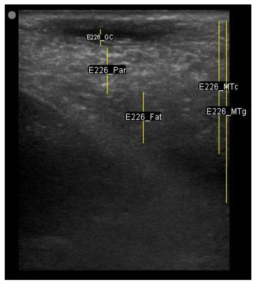 Animals 11 00884 i006