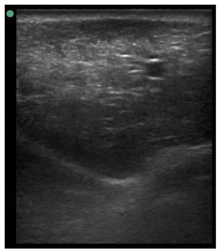 Animals 11 00884 i007