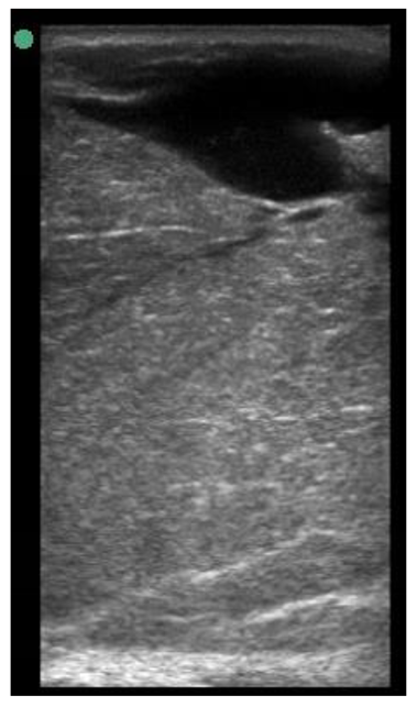 Animals 11 00884 i009