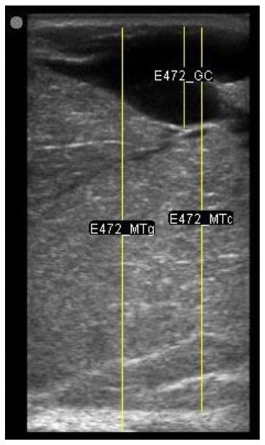 Animals 11 00884 i010