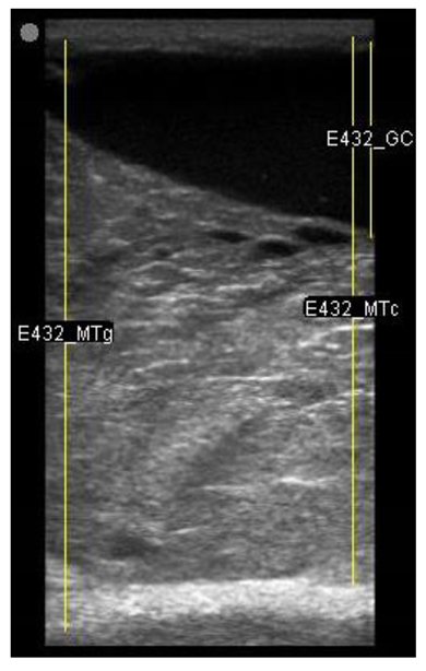 Animals 11 00884 i012