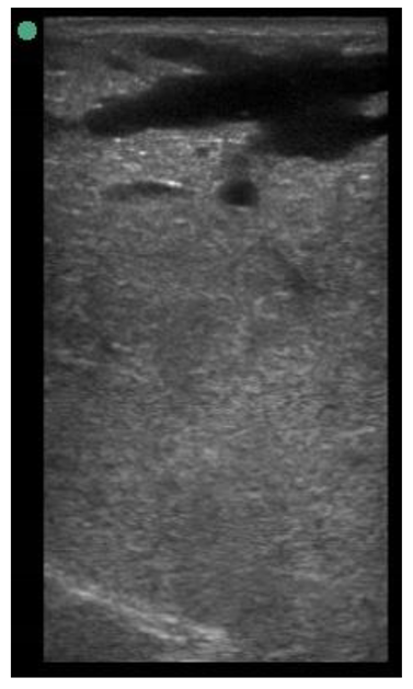 Animals 11 00884 i013