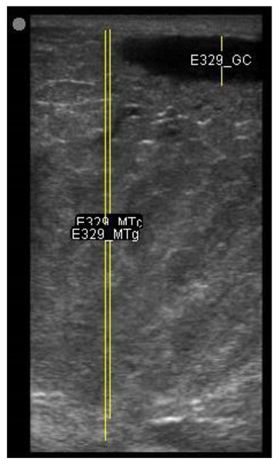 Animals 11 00884 i016