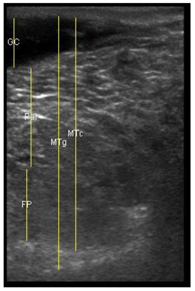 Animals 11 00884 i020