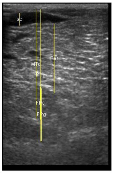 Animals 11 00884 i024