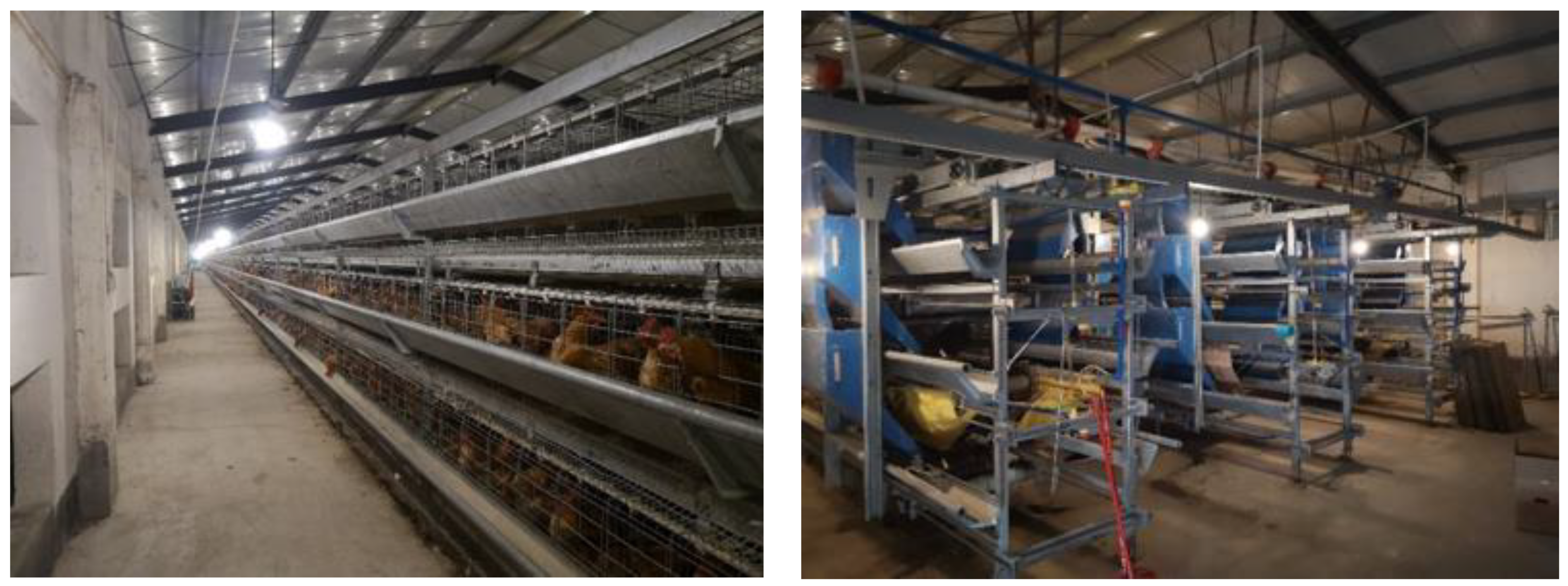 Animals 11 00900 g013 Animals 11 00900 g013