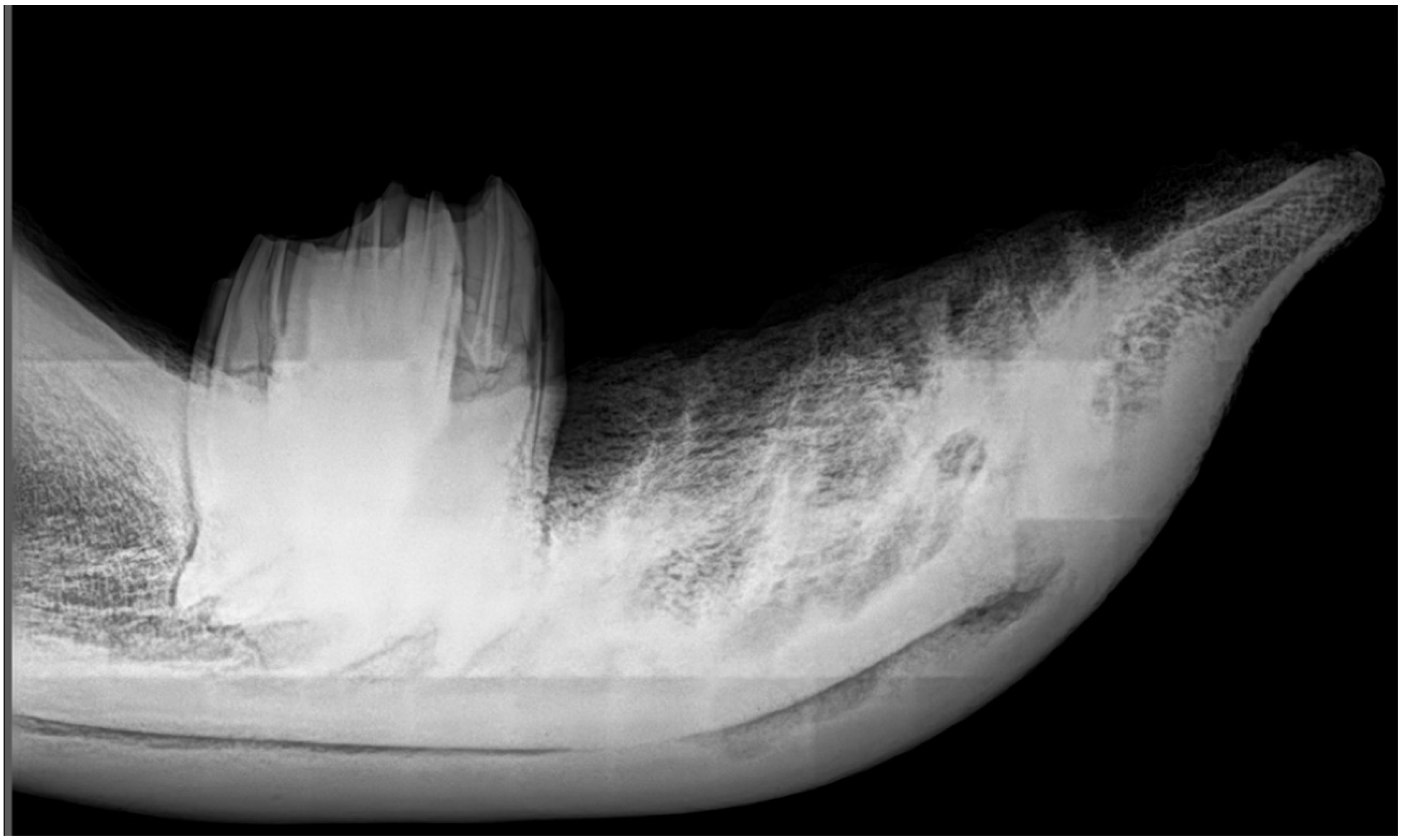 Animals 11 00910 g003