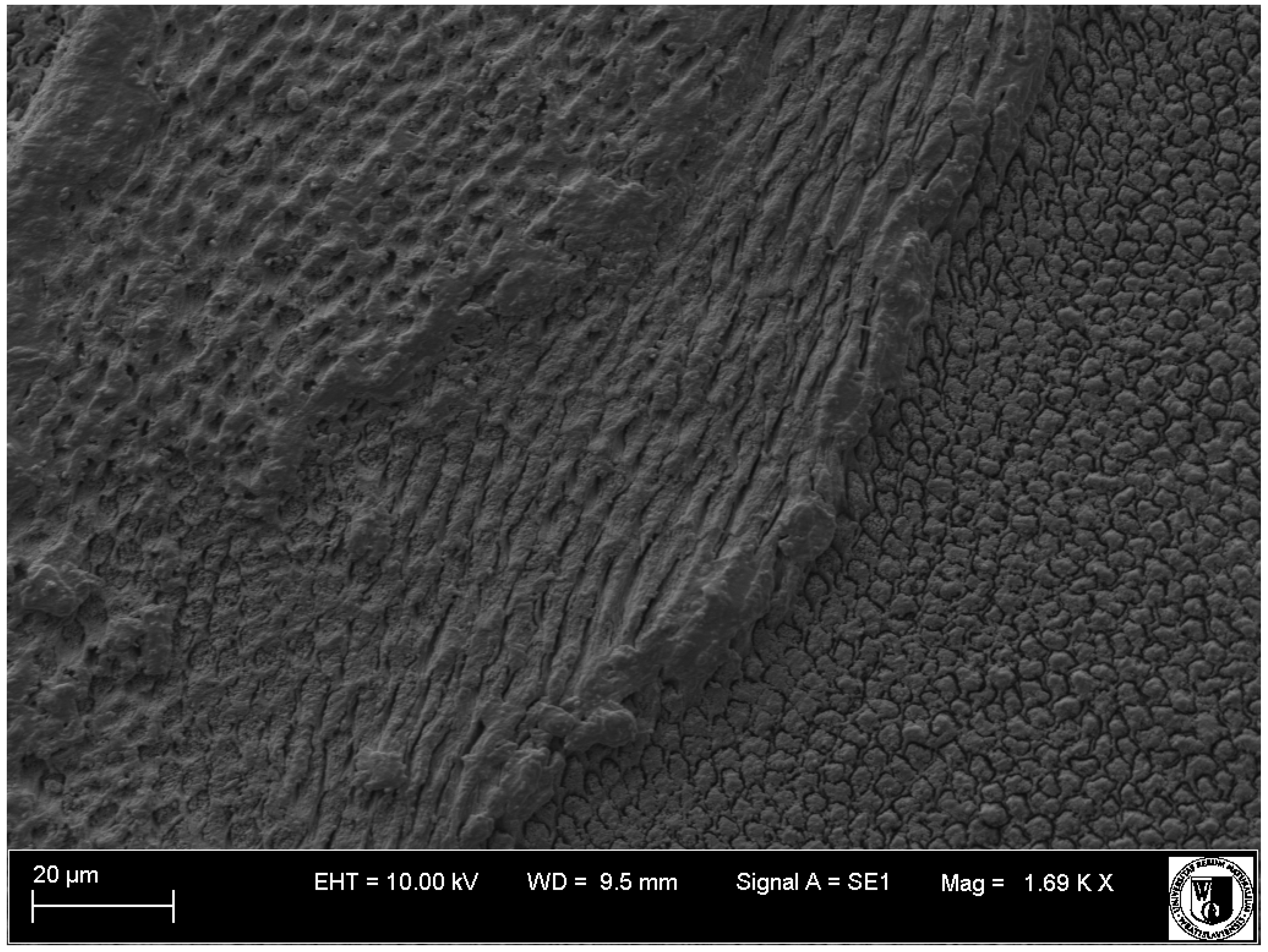 Animals 11 00910 g014