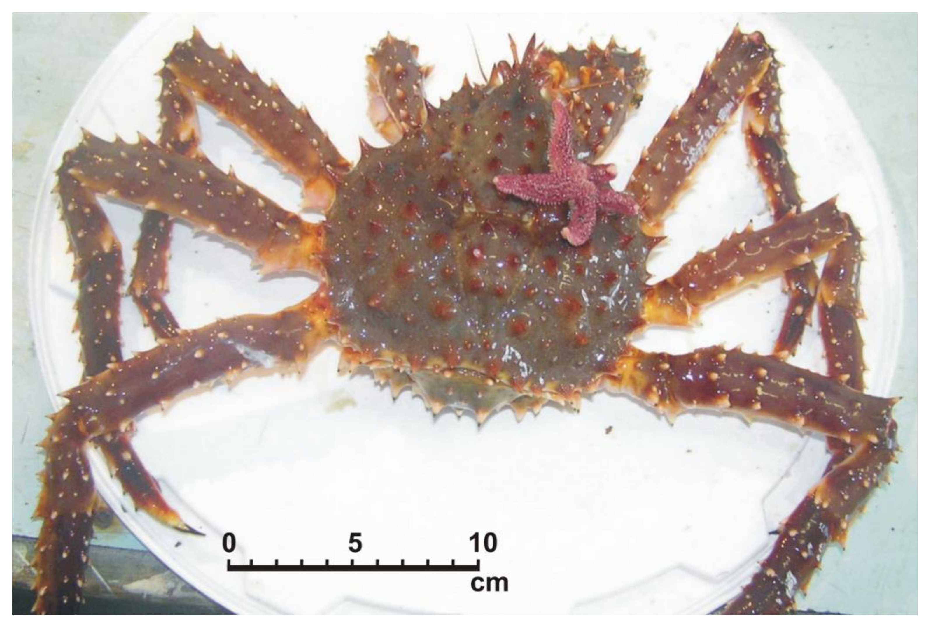 Animals 11 00917 g003