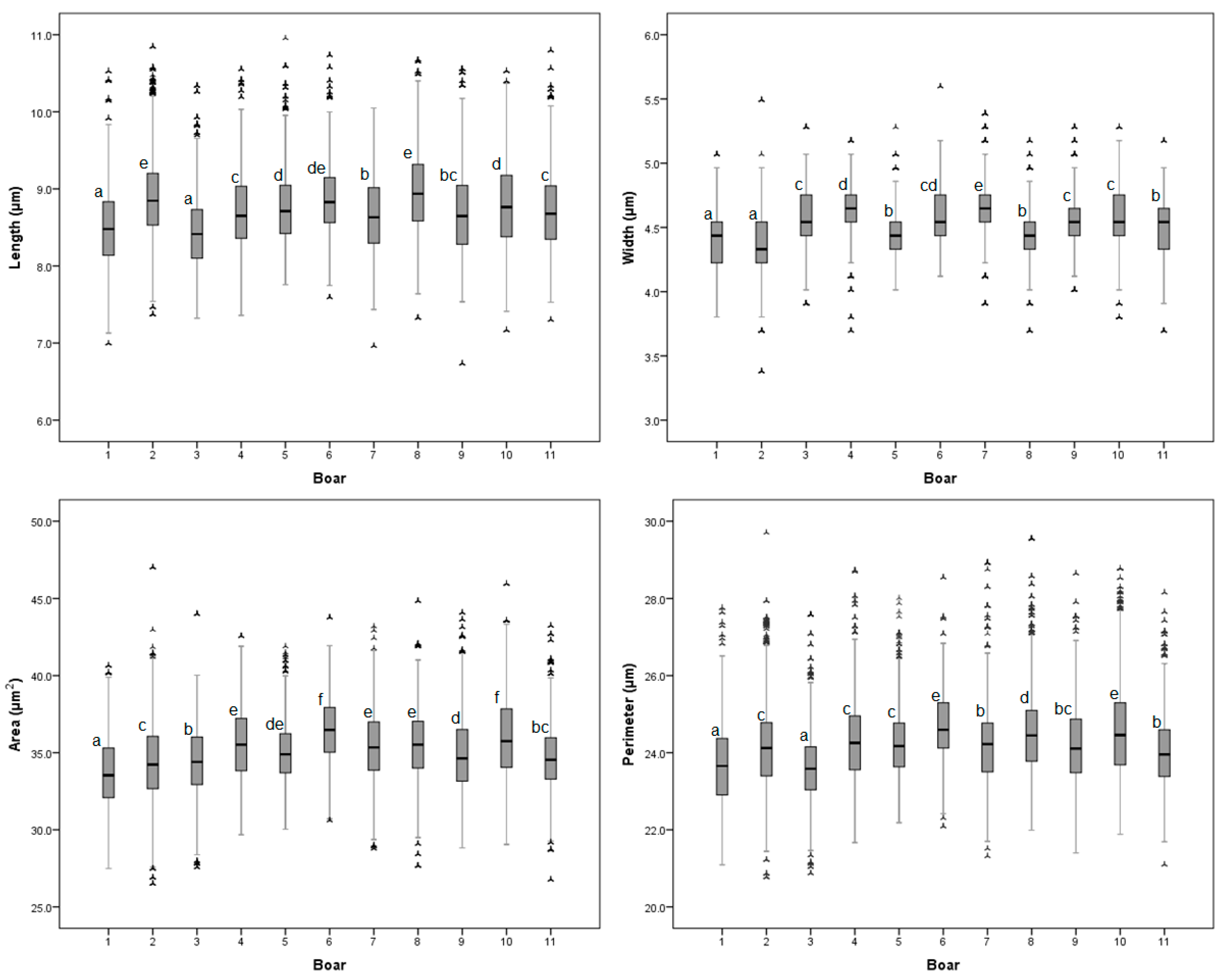 Animals 11 00920 g001