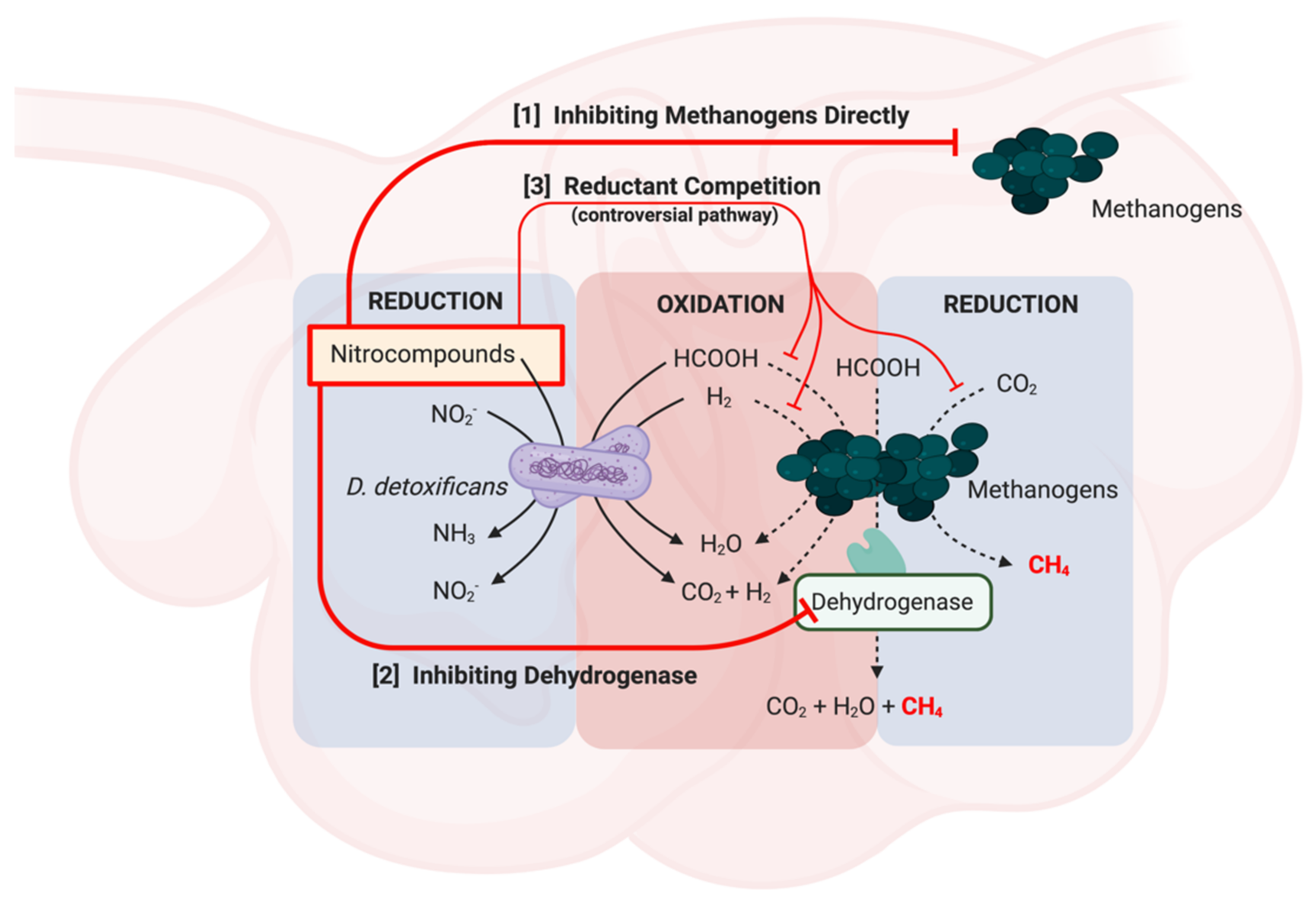 Animals 11 00923 g004 Animals 11 00923 g004