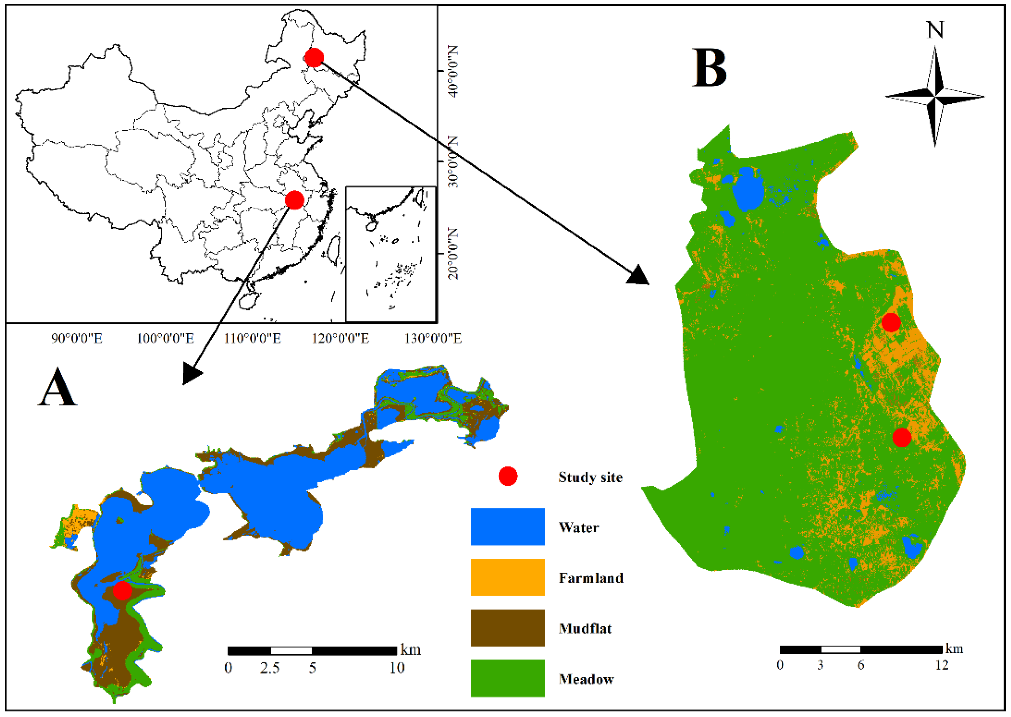 Animals 11 00941 g001