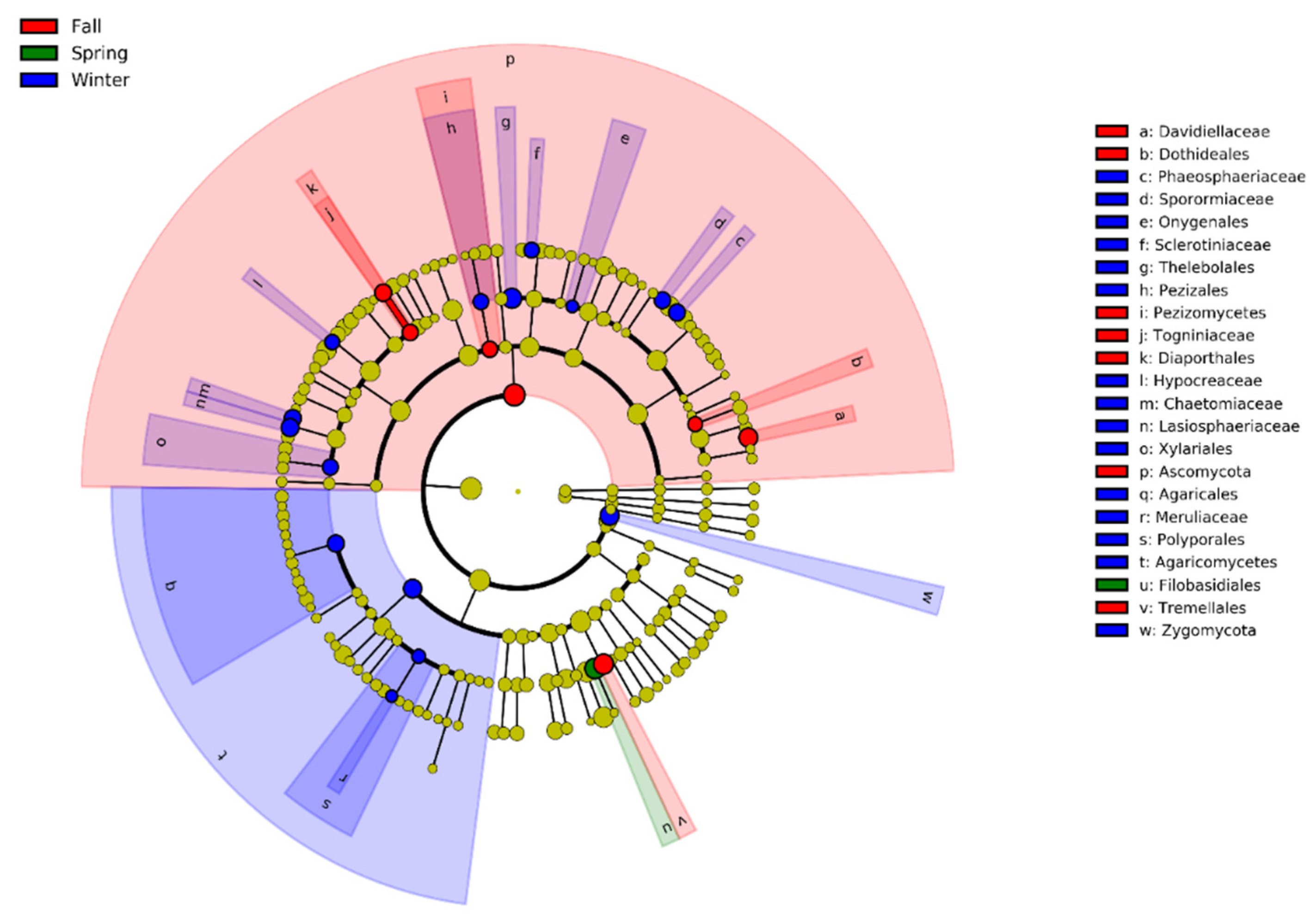 Animals 11 00941 g005