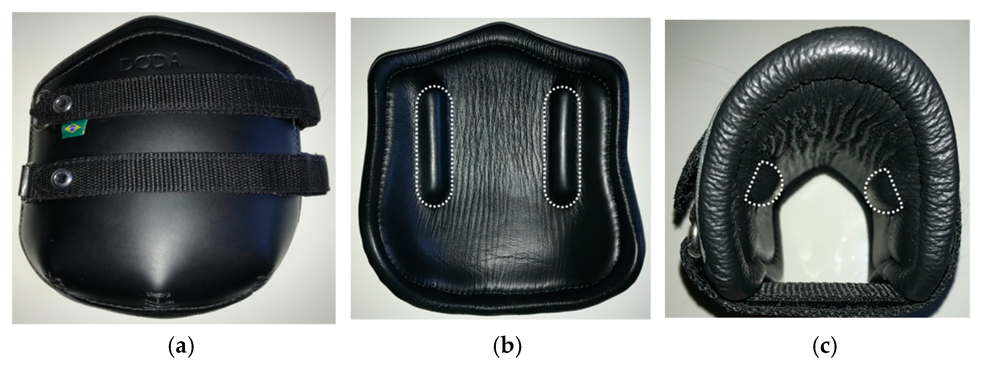 Animals 11 00958 g002