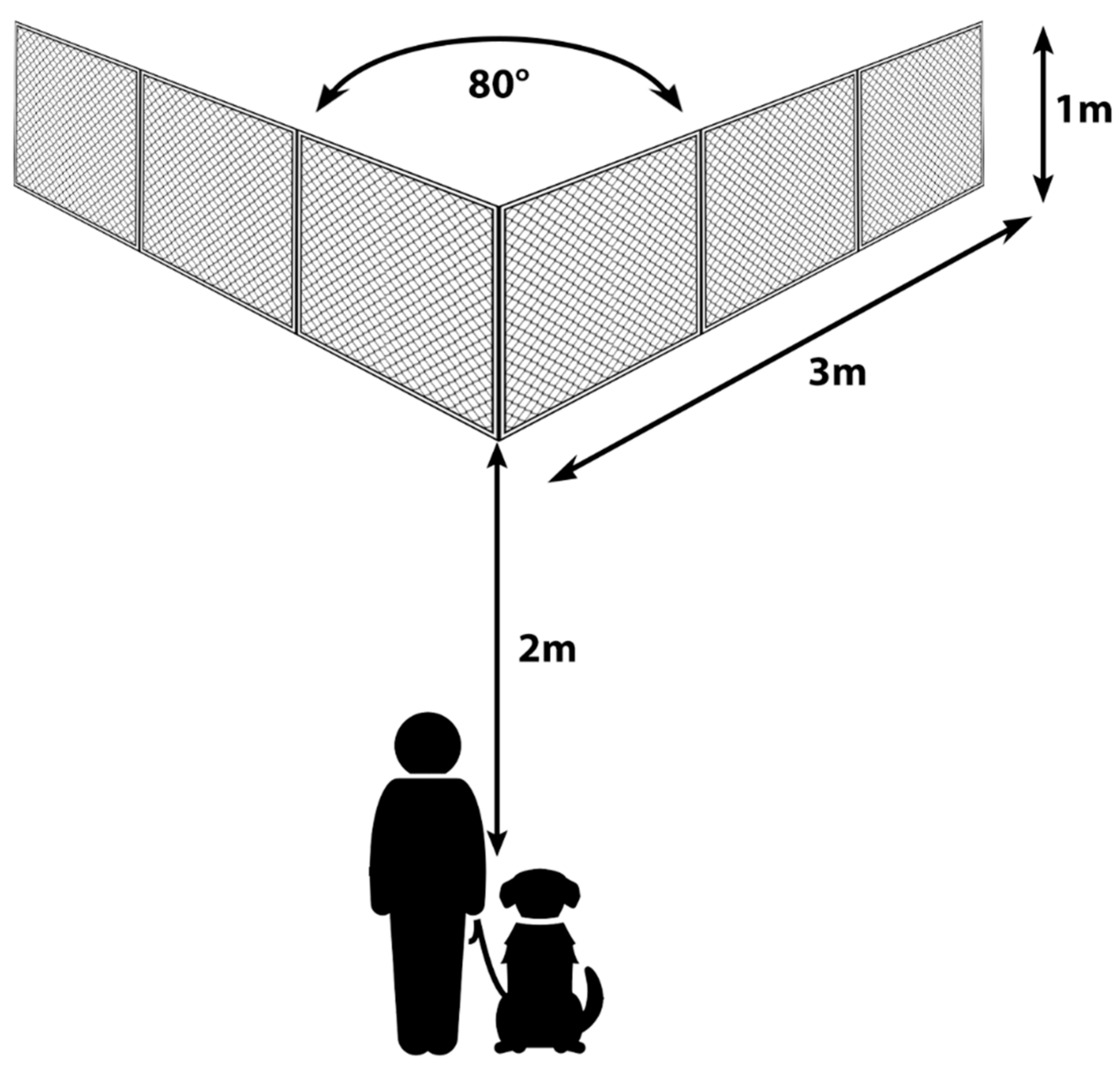 Animals 11 00961 g001