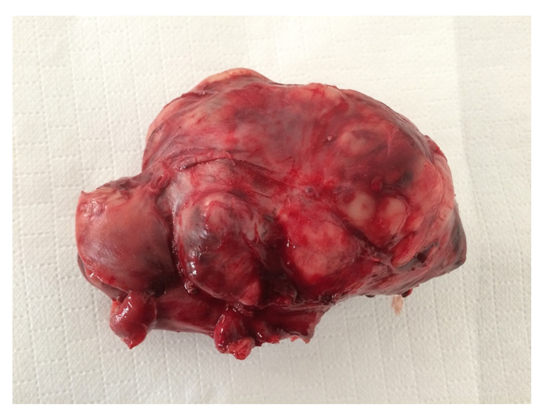 Animals 11 00962 g004